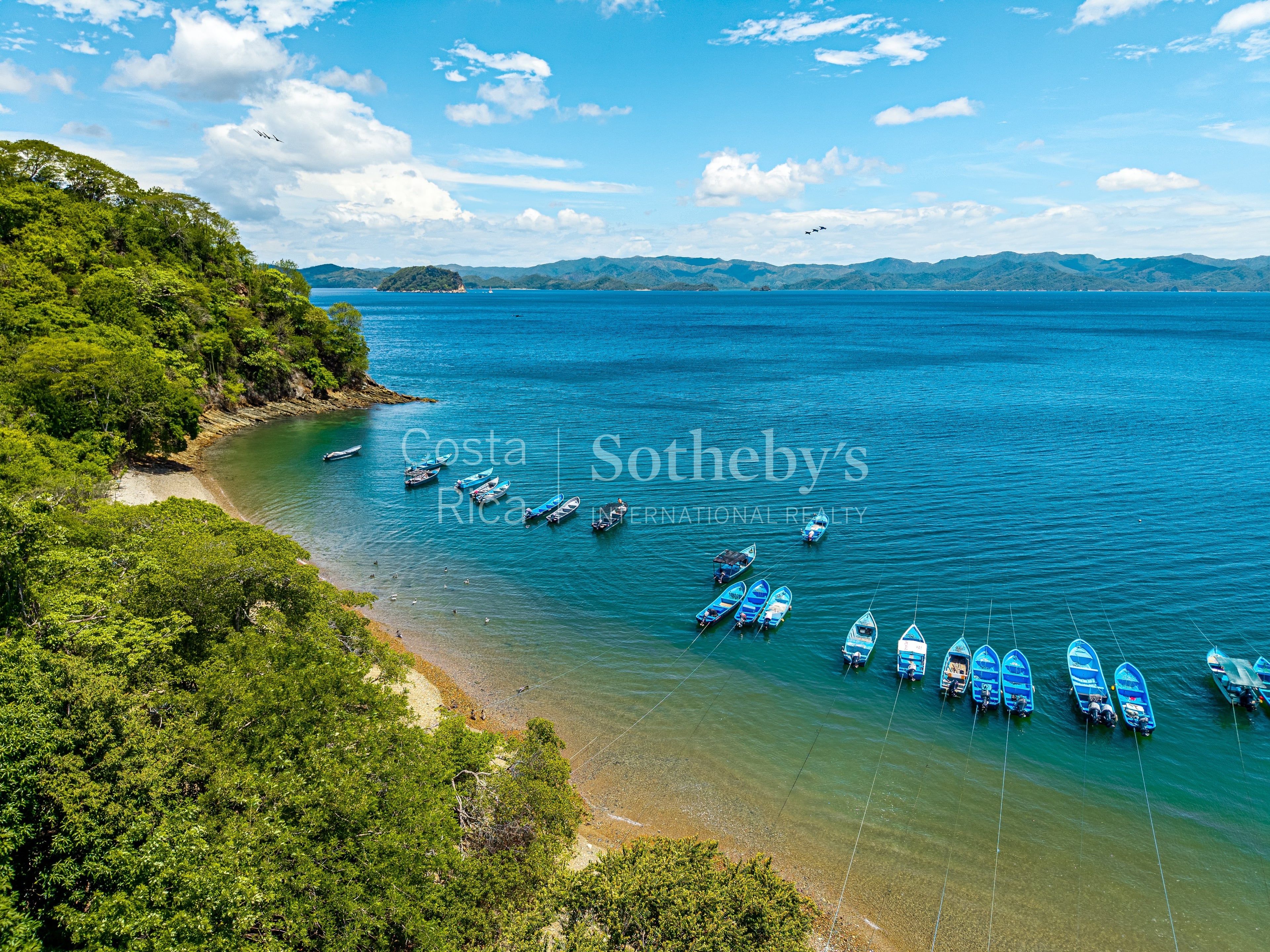  The Cove - 物件實景