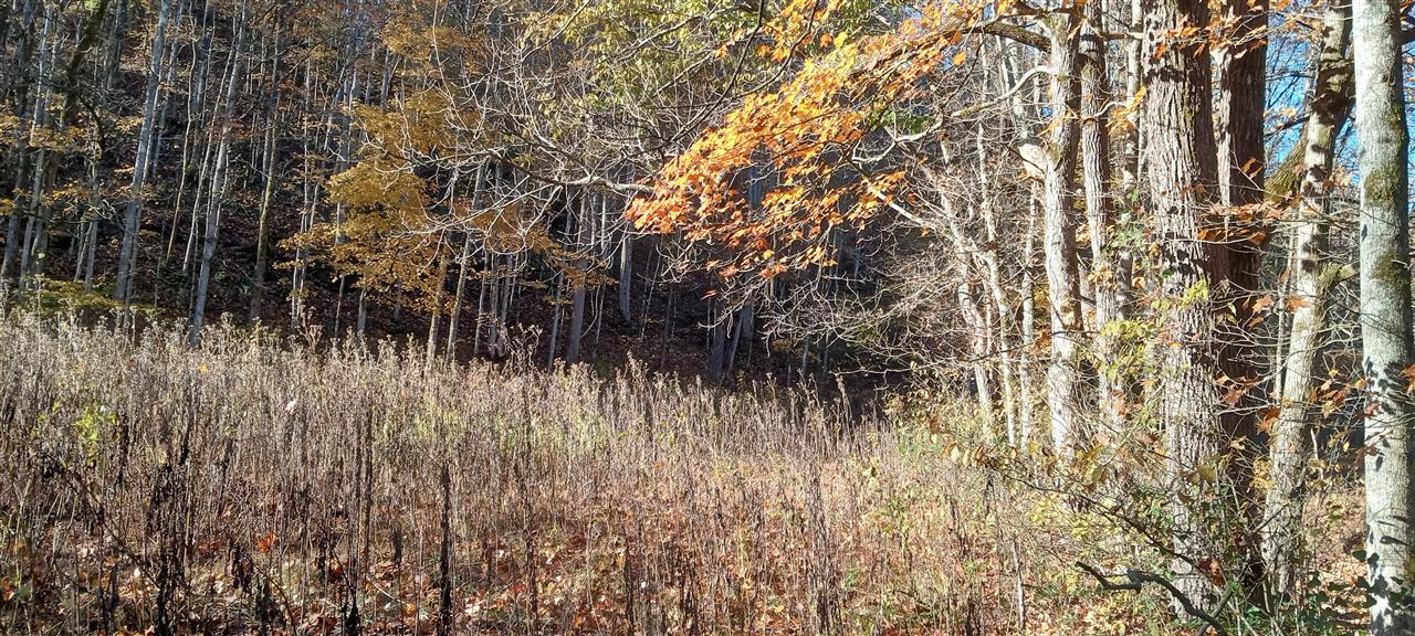 Willow Shade, Kentucky, 42166, United States, 3 Bedrooms Bedrooms, ,2 BathroomsBathrooms,Residential,For Sale,1991903