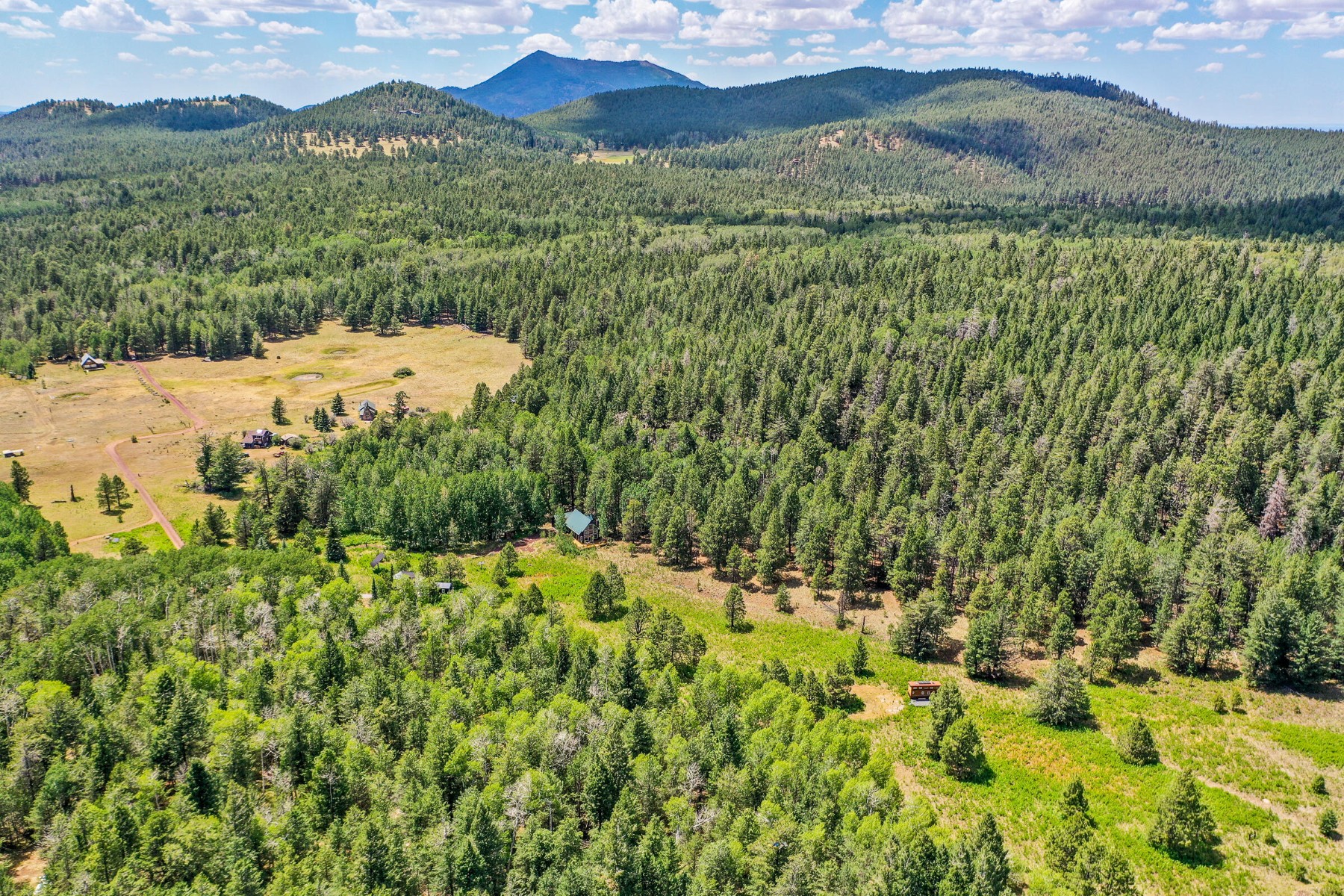  17787 N Forest Service 9004t Road ¦ Flagstaff, AZ - 物件實景