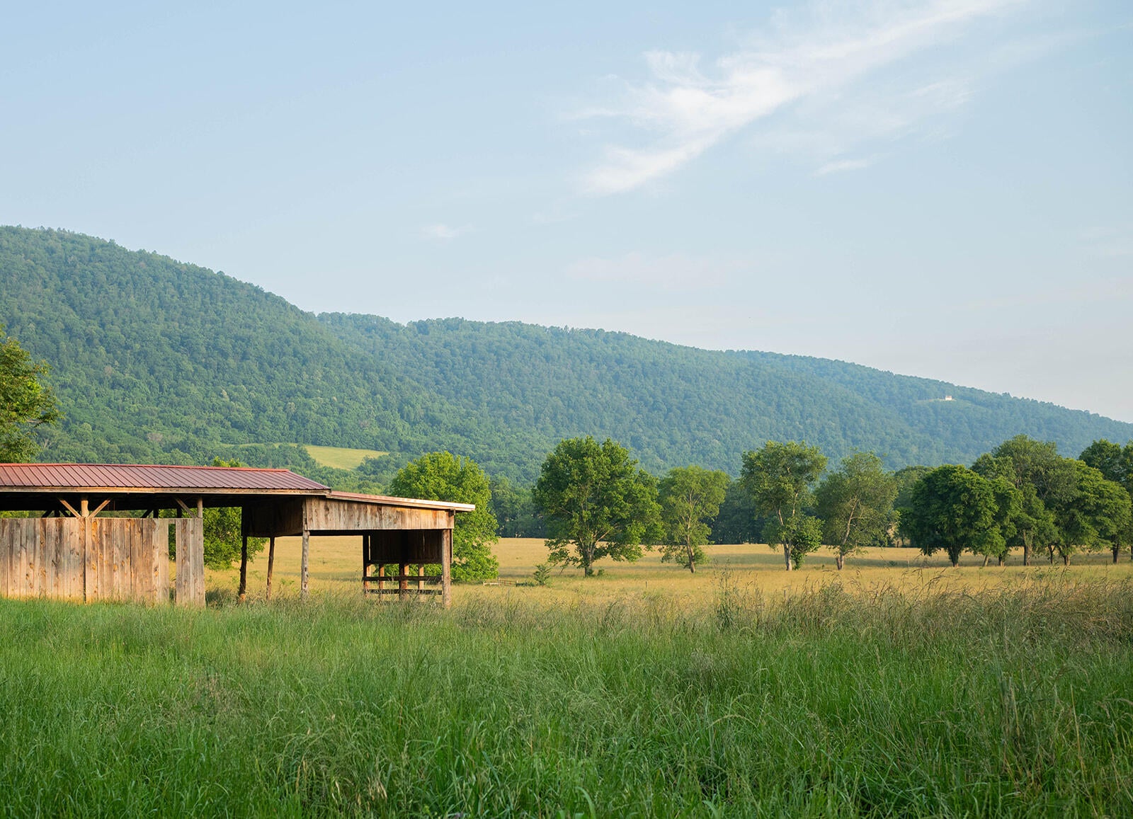 188 Marion Agee Road, Crossville, Tennessee, 37367, United States, ,Land,For Sale,188 Marion Agee Road,1659693