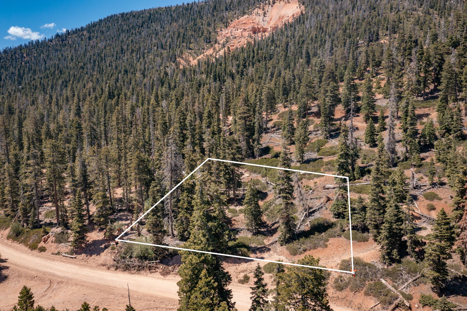  Quiet Mountain Retreat Near Navajo Lake - 物件實景