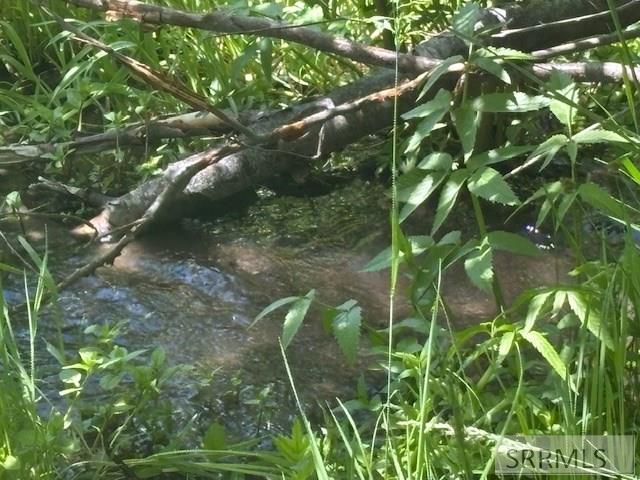 RIRIE, Idaho, 83443, United States, ,Residential,For Sale,1974893