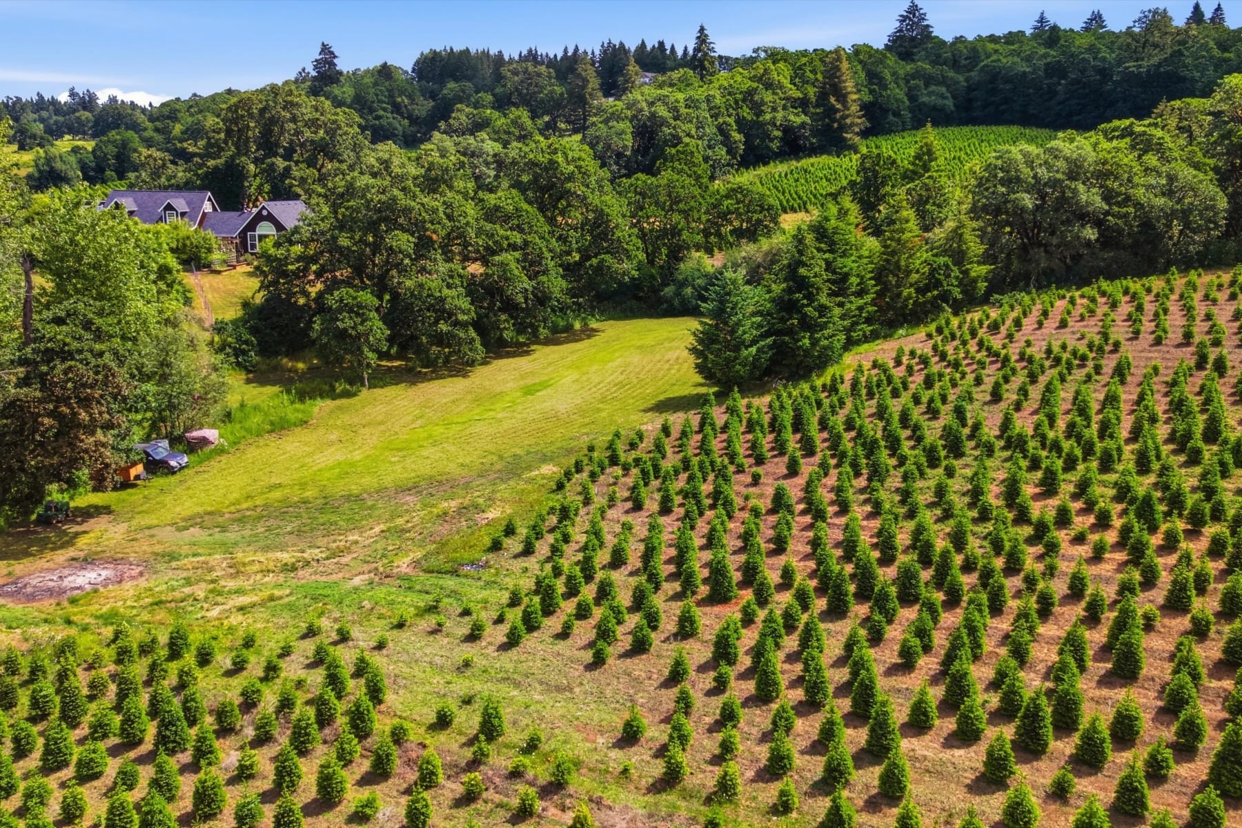  13880 MCCALEB RD Monmouth, OR 97361 - 物件實景