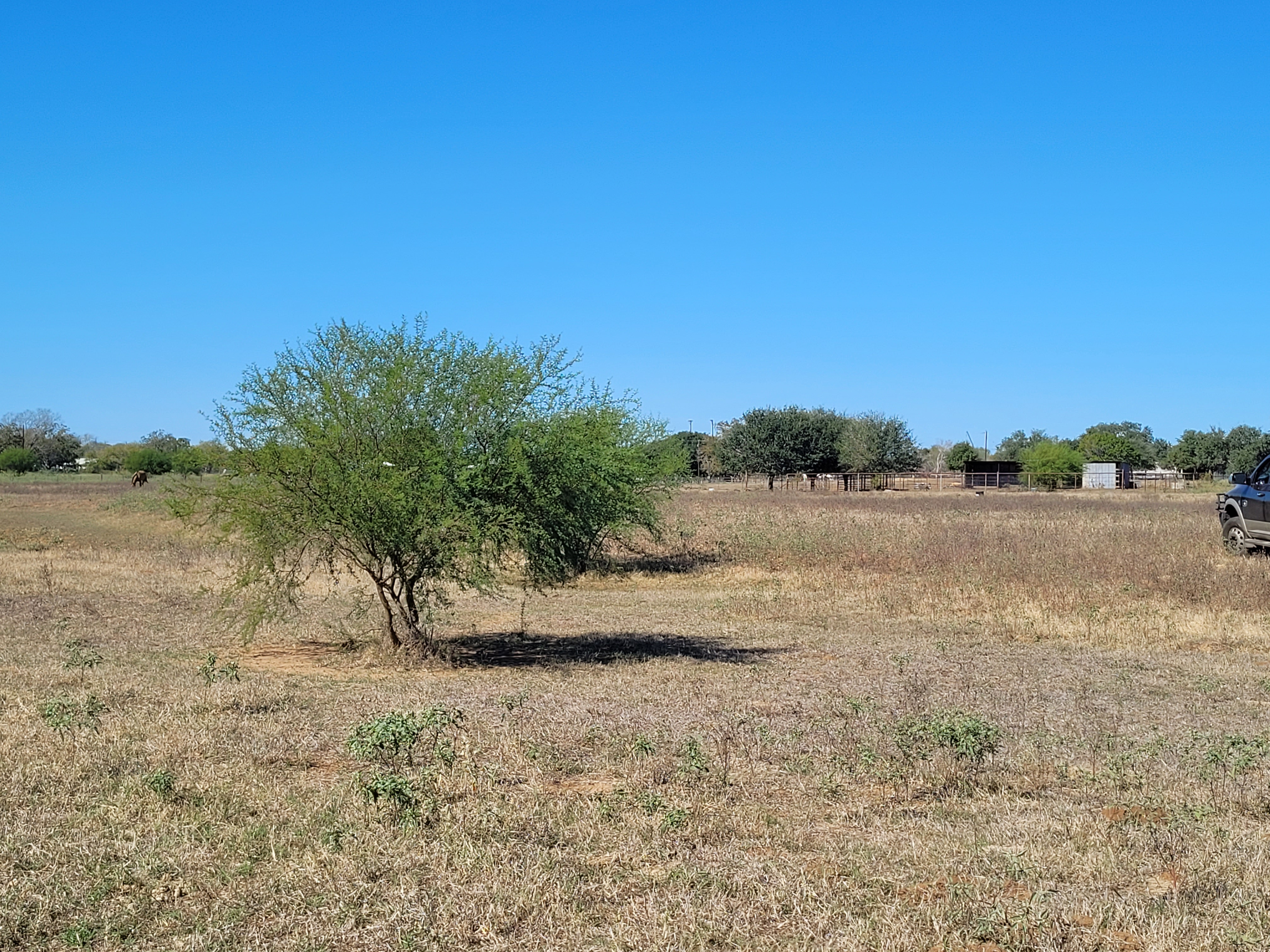 Stockdale, Texas, 78160, United States, 2 Bedrooms Bedrooms, ,1 BathroomBathrooms,Residential,For Sale,1990208