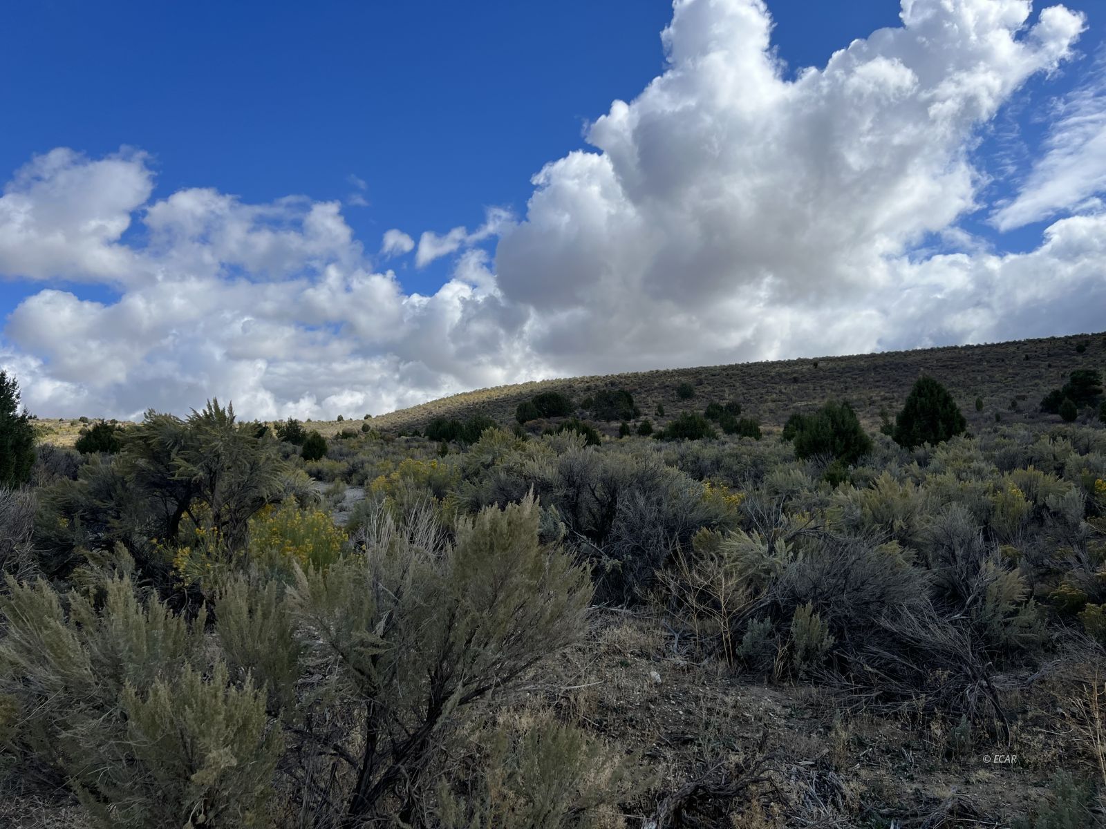 Elko, Nevada, 89801, United States, ,Land,For Sale,1925378