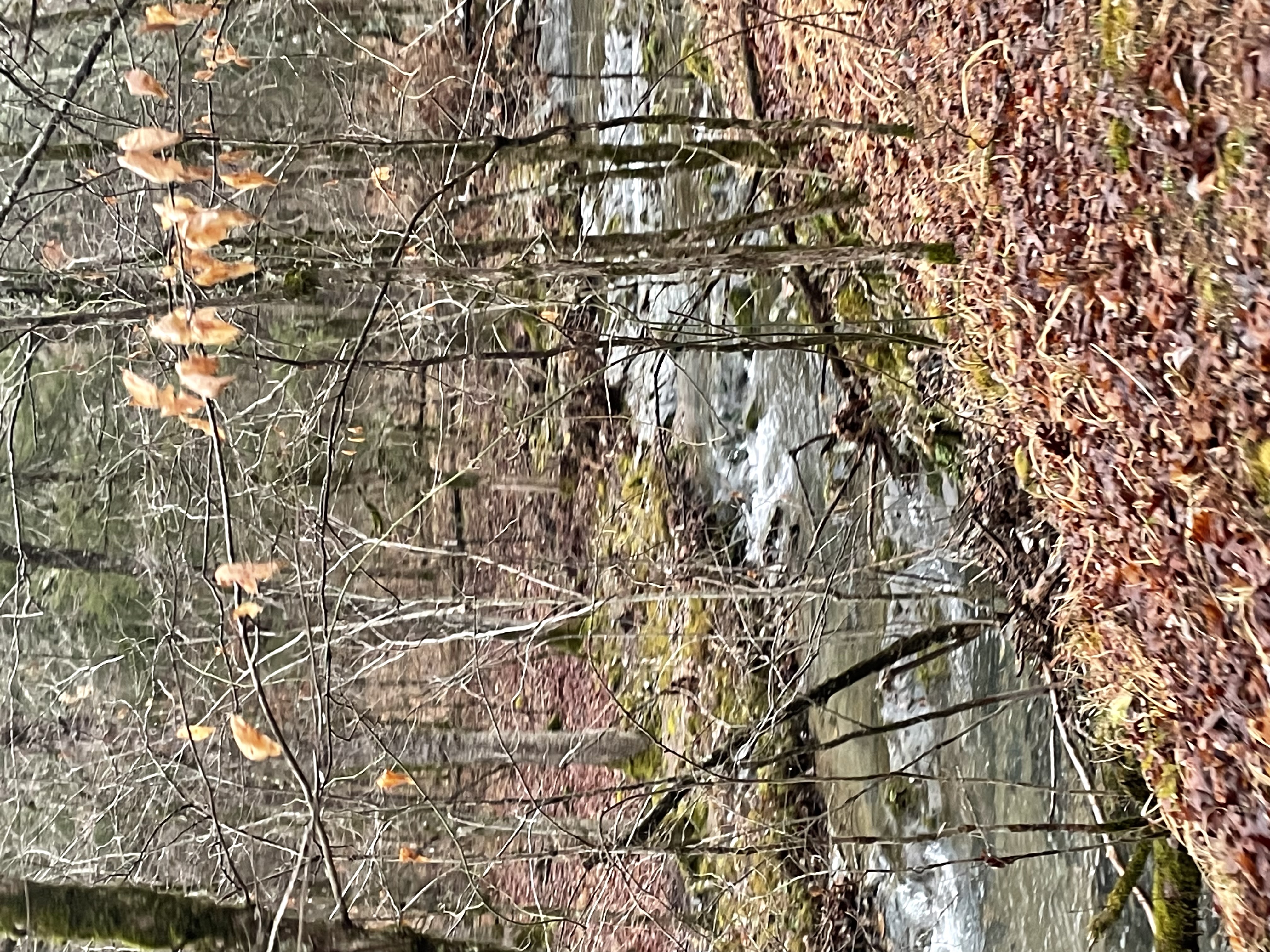 Mena, Arkansas, 71953, United States, 3 Bedrooms Bedrooms, ,3 BathroomsBathrooms,Residential,For Sale,1979119