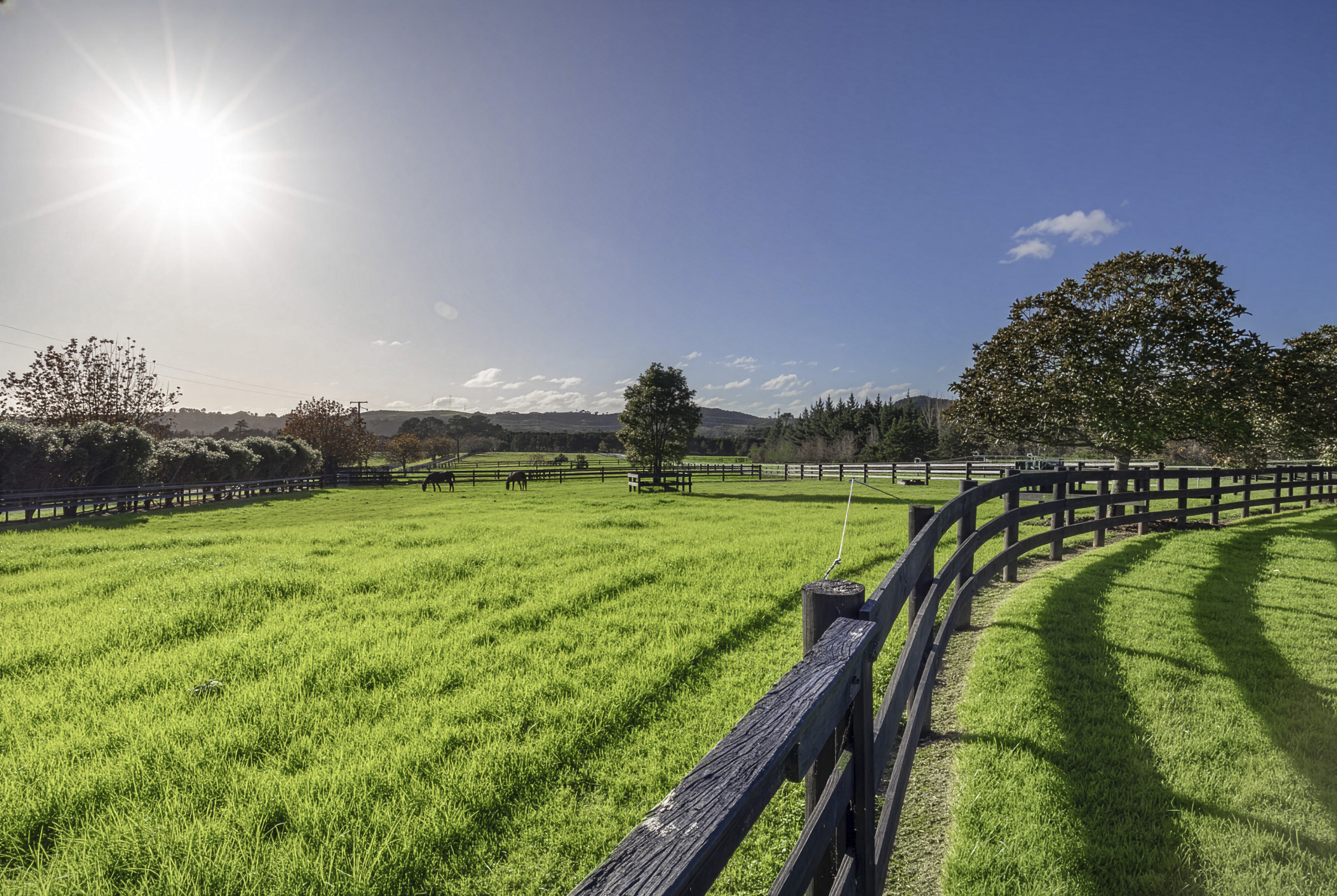  Waikoukou Valley Estate - 物件實景