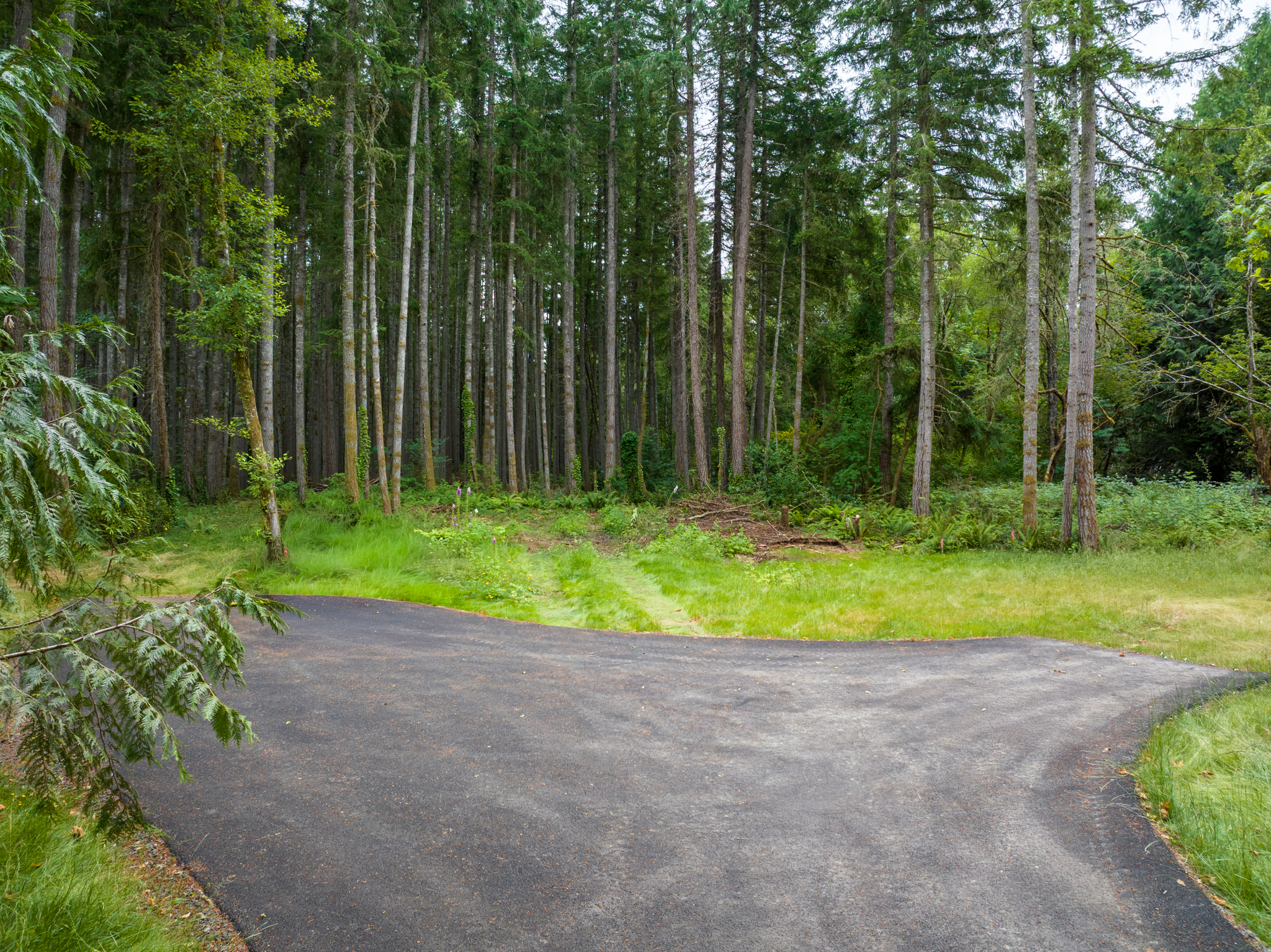  Lot B Bucsit Lane Northeast, Bainbridge Island, WA 98110 - 物件實景