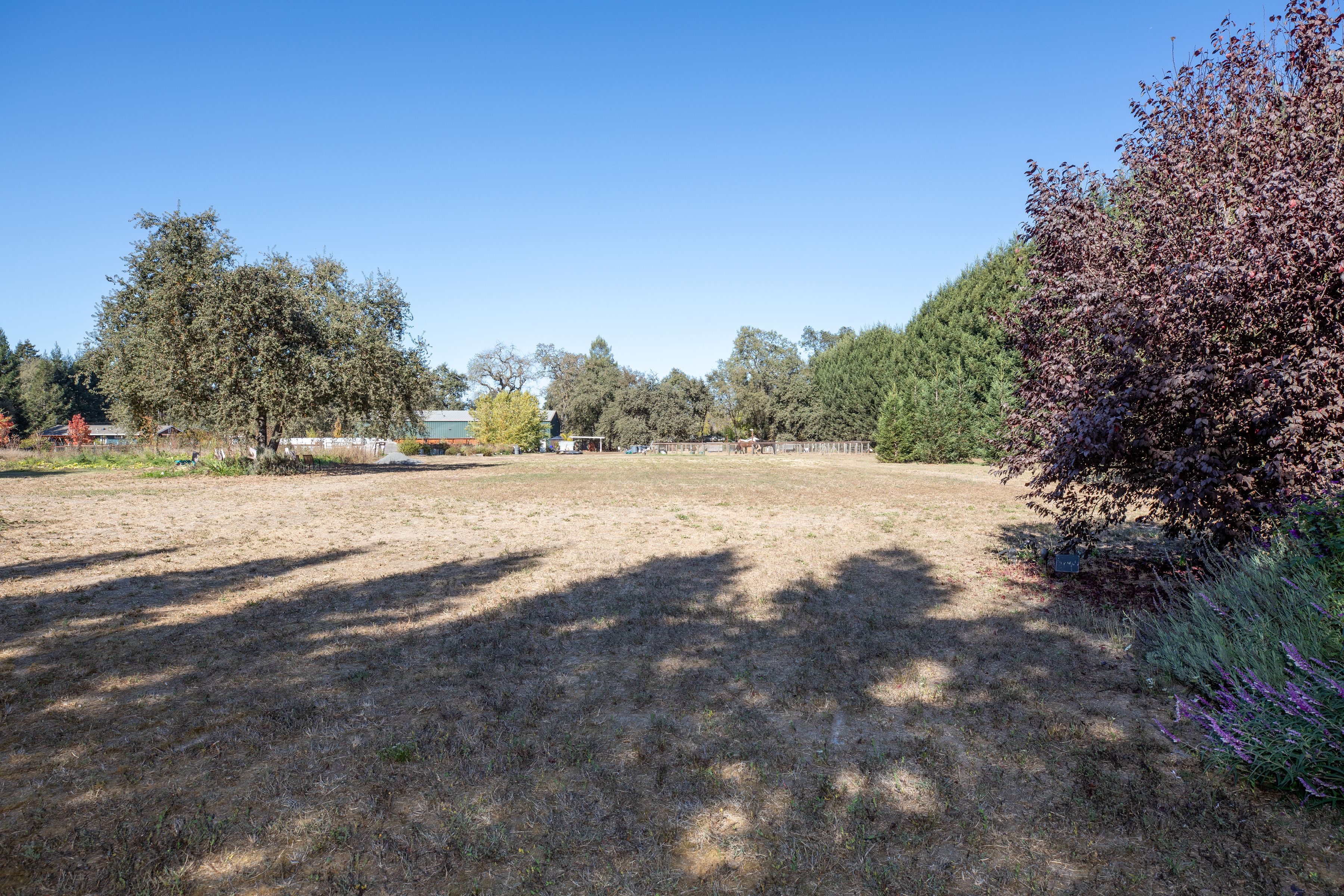  3290 Somers Street, Santa Rosa - 物件實景