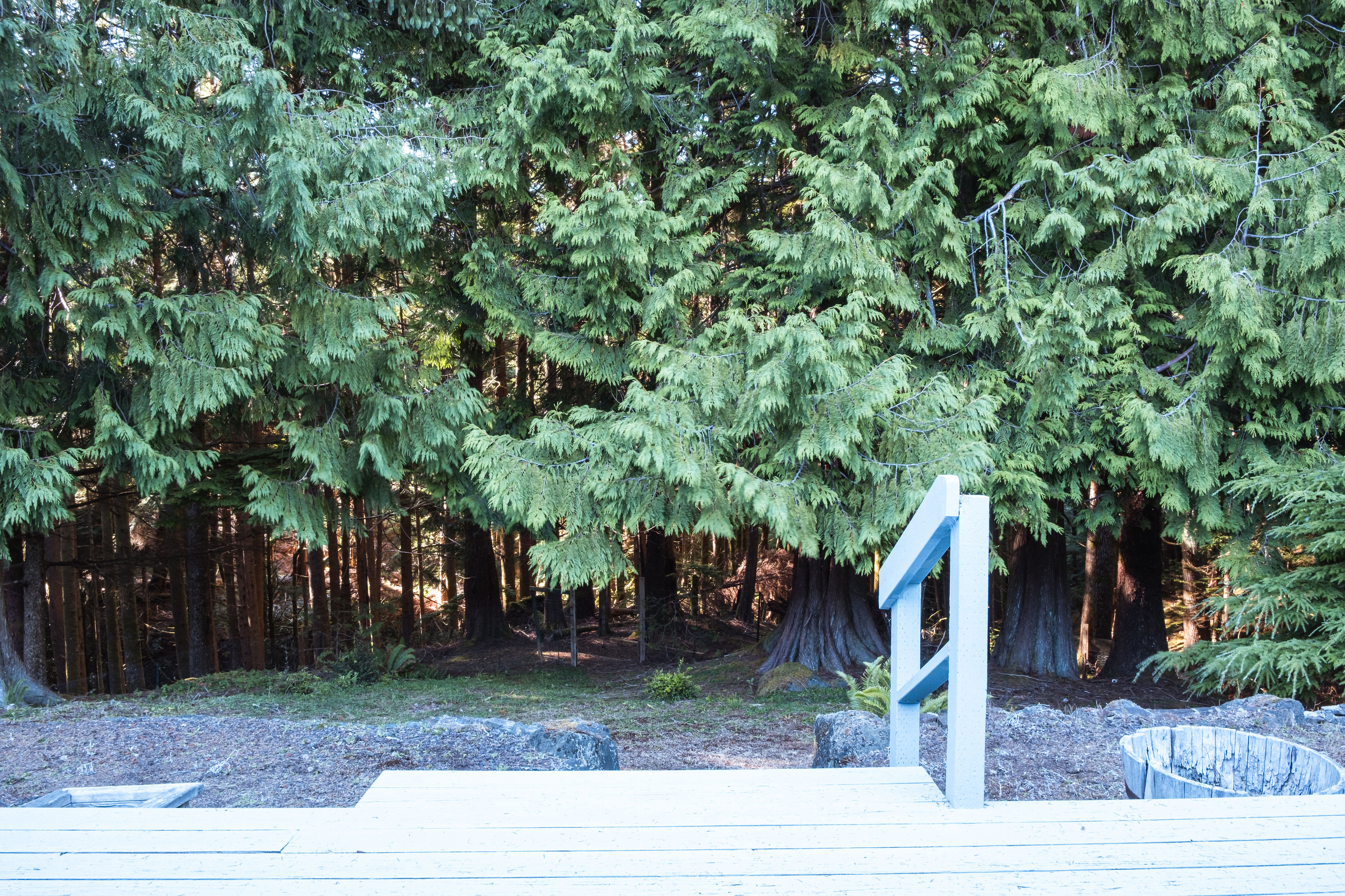 Lincoln City, Oregon, 97367, United States, 3 Bedrooms Bedrooms, ,2 BathroomsBathrooms,Residential,For Sale,1976632