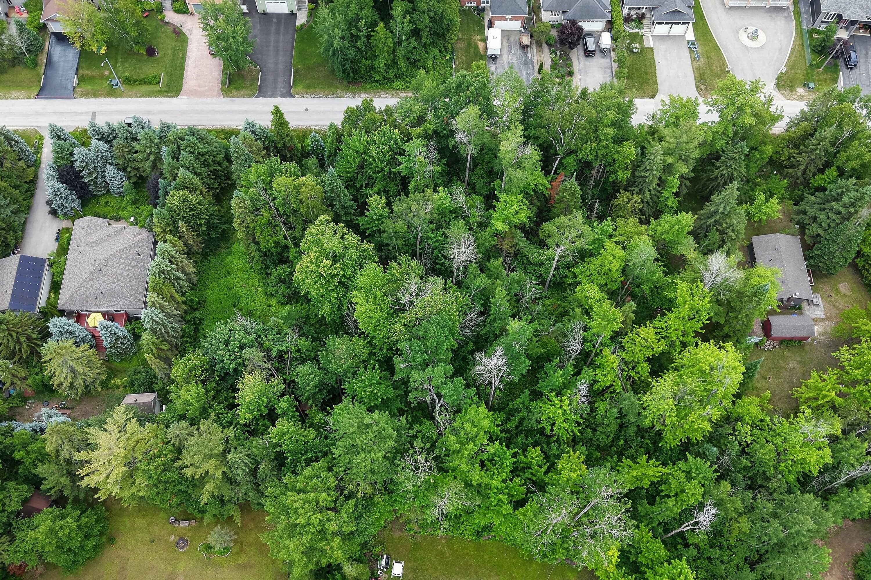  Residential Building Lot - 物件實景