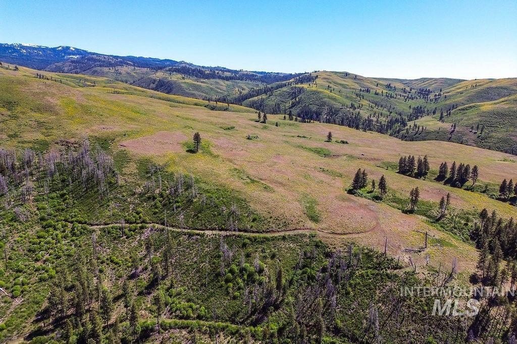 Council, Idaho, 83612, United States, ,Residential,For Sale,1862004