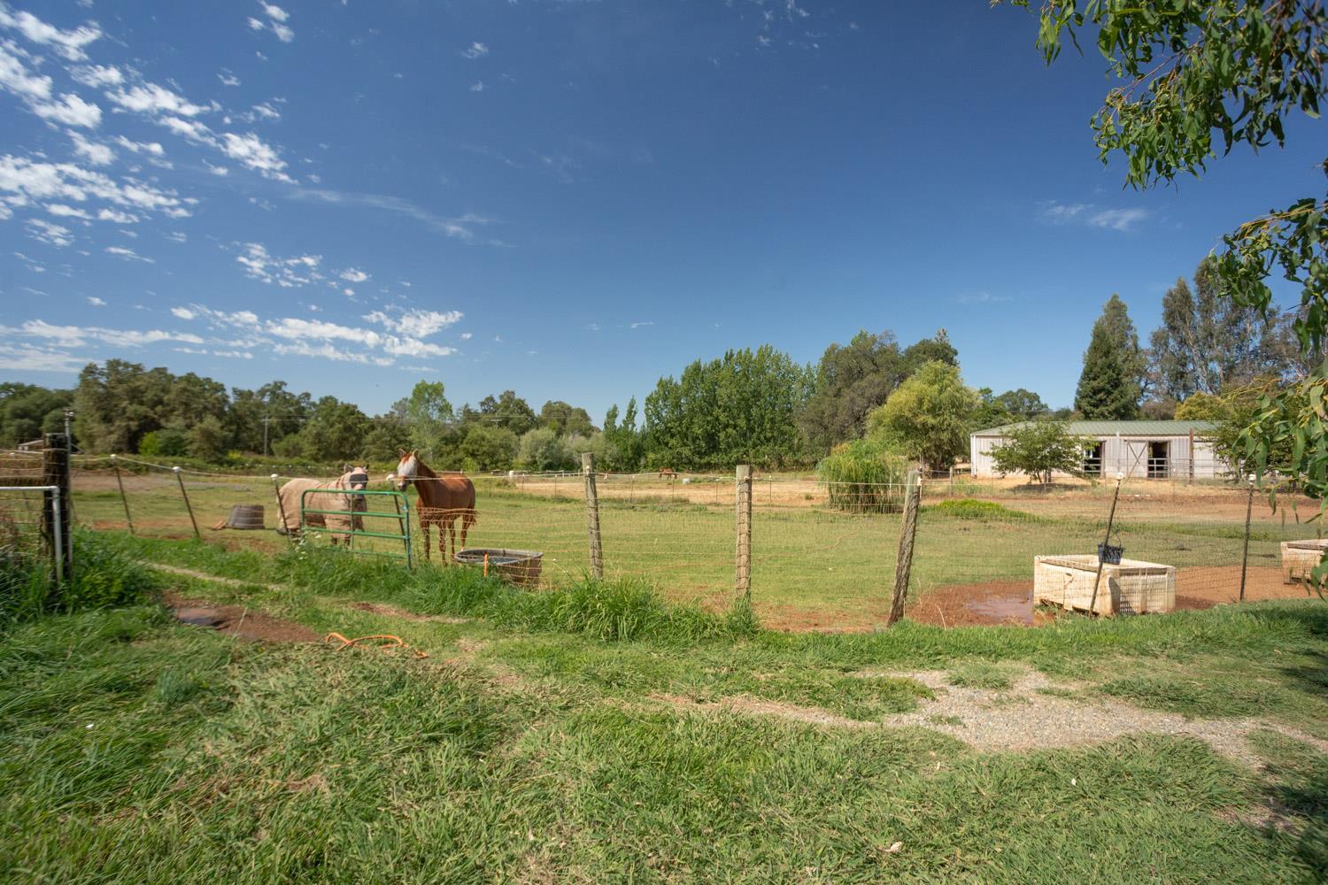 Browns Valley, California, 95918, United States, 3 Bedrooms Bedrooms, ,1 BathroomBathrooms,Residential,For Sale,1930190