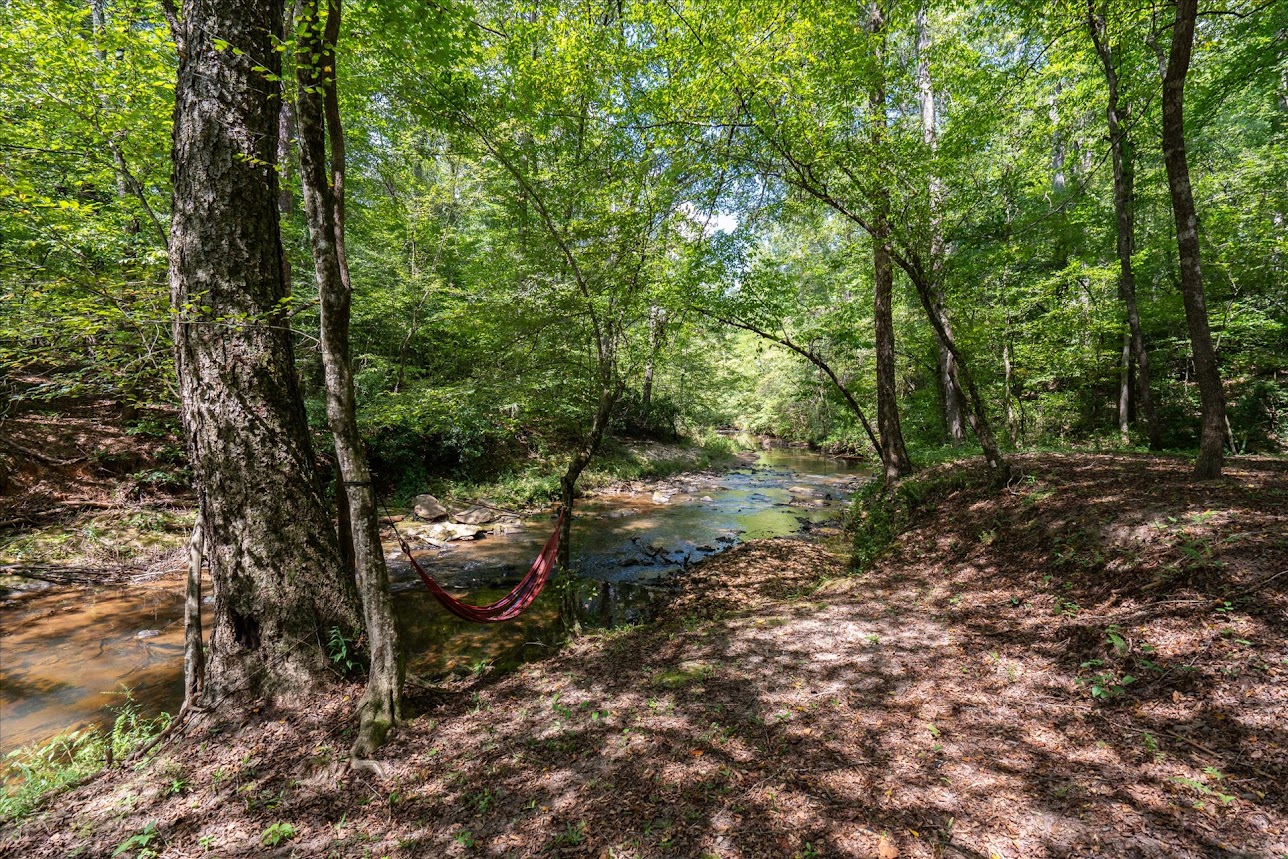 Carrollton, Georgia, 30116, United States, 4 Bedrooms Bedrooms, ,3 BathroomsBathrooms,Residential,For Sale,2005638