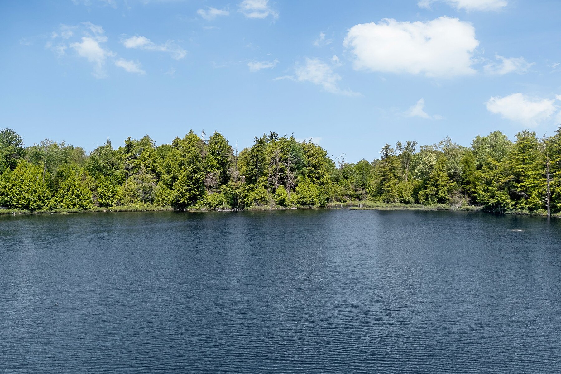  Wentworth, Laurentides - 物件實景