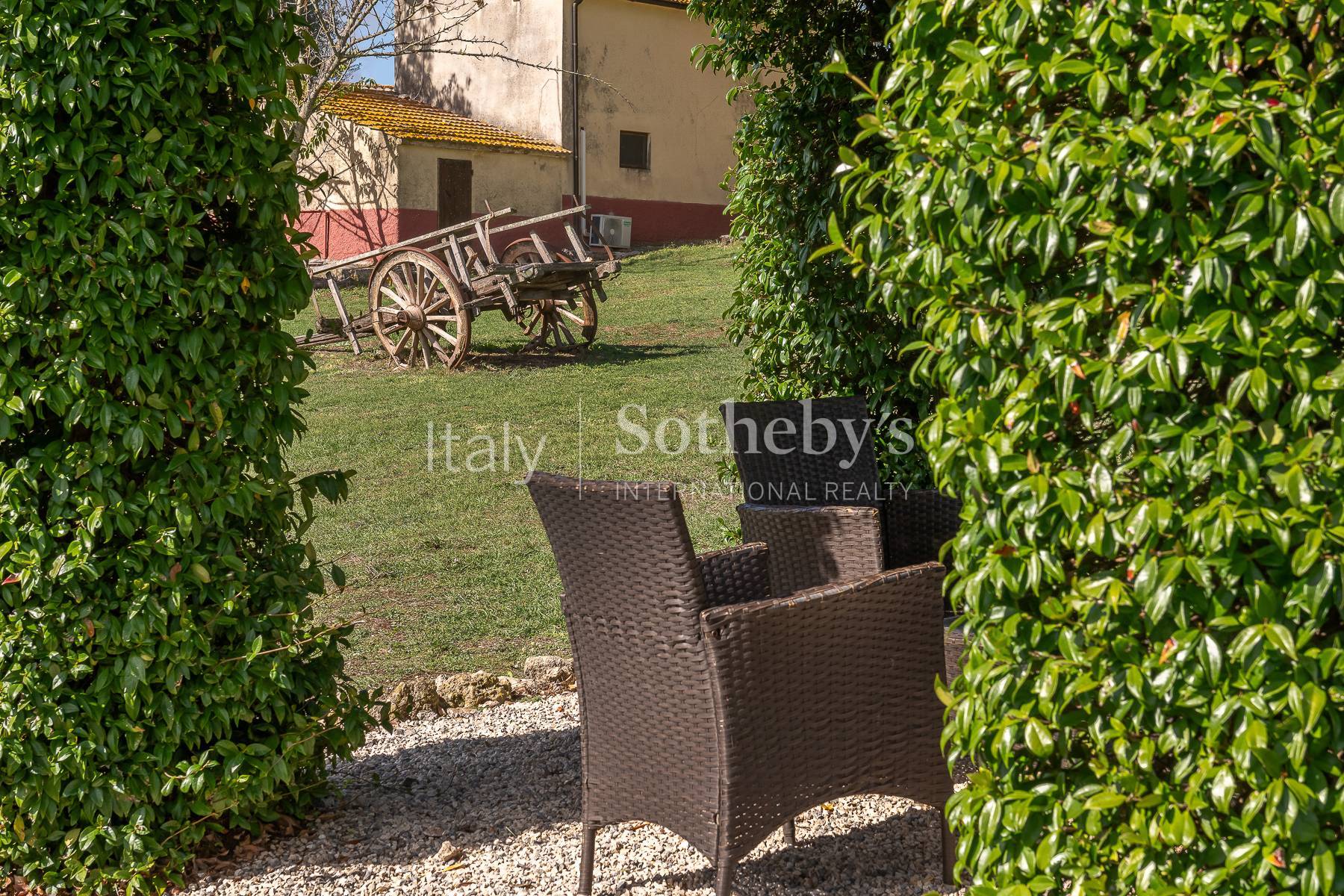  Charming Country Estate with Pool and Olive Grove in Maremma - 物件實景