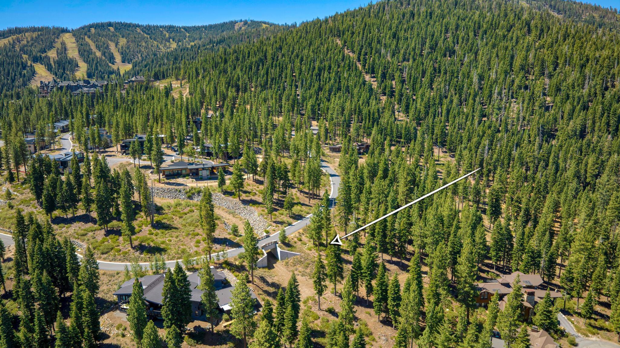 Truckee, California, 96161, United States, ,Land,For Sale,1999016