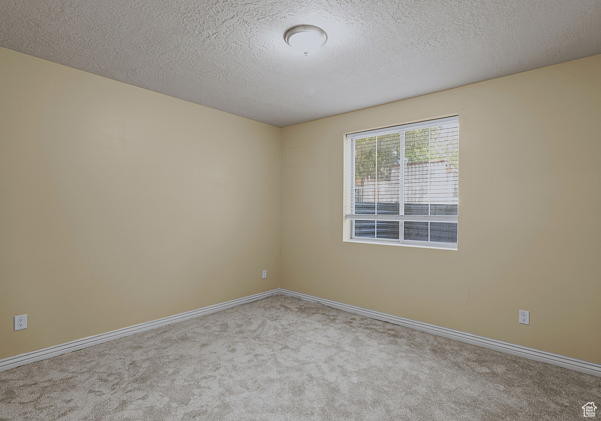 West Valley City, Utah, 84119, United States, 8 Bedrooms Bedrooms, ,4 BathroomsBathrooms,Residential,For Sale,1905952