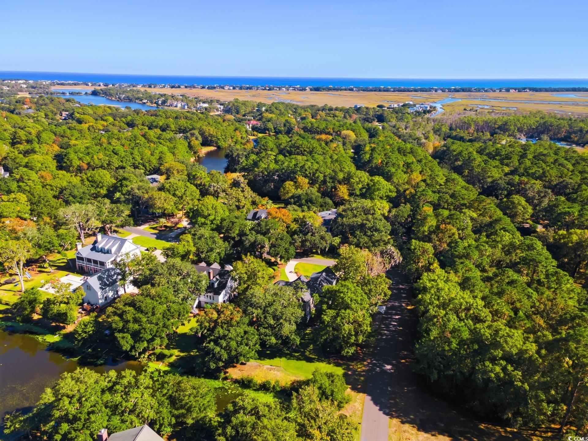  15 Pinckney Rd.  DeBordieu Colony - 物件實景