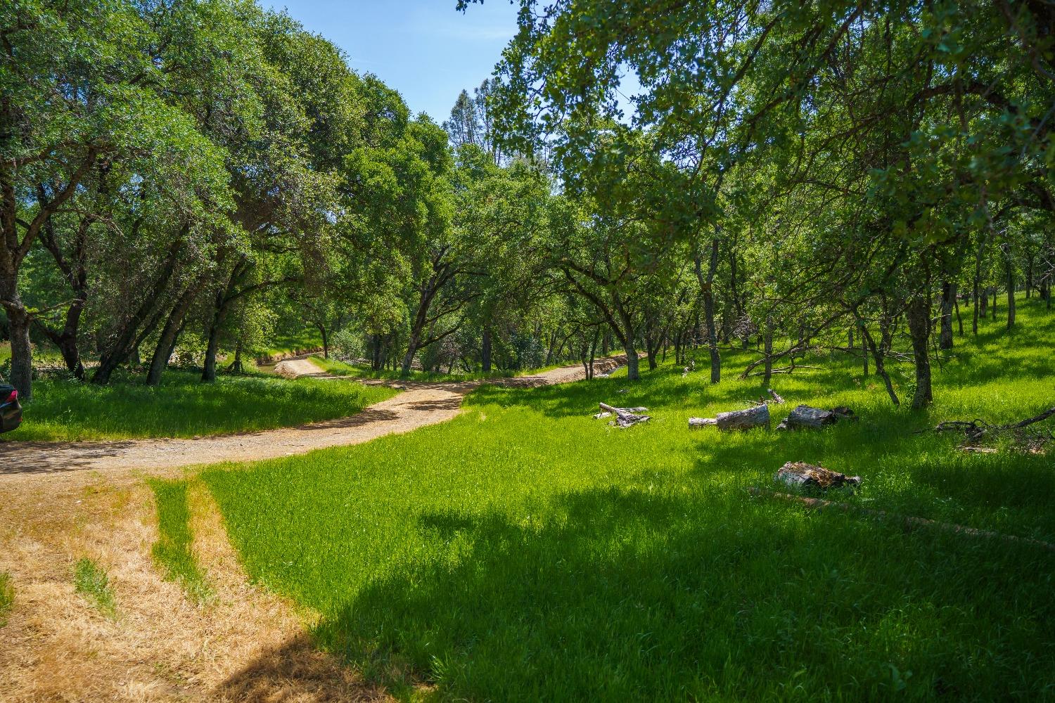 Lincoln, California, 95648, United States, ,Land,For Sale,1784125