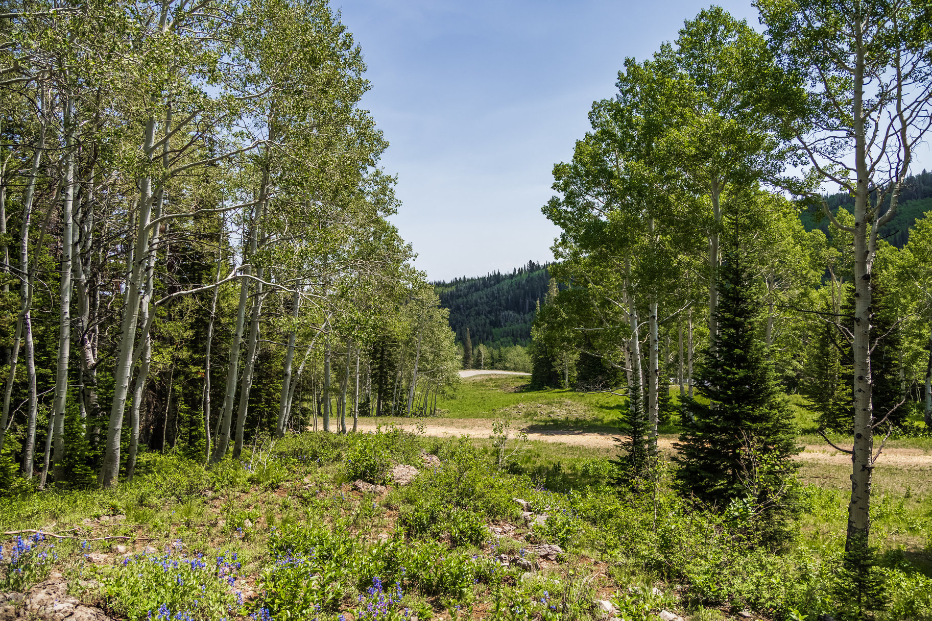  Incredible 28 Acre Estate Lot in the Colony at White Pine Canyon - 物件實景
