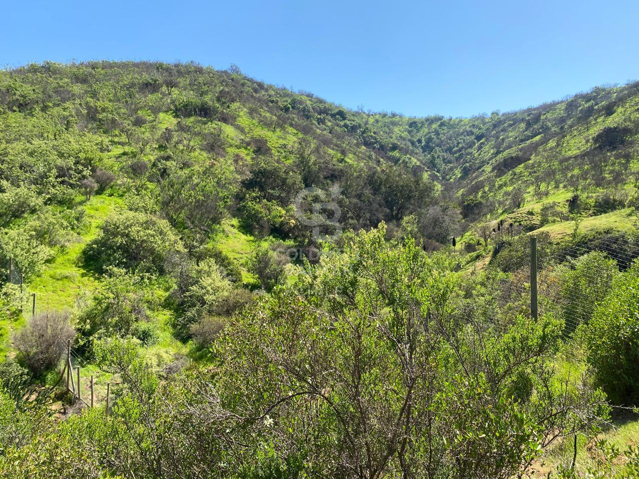 Limache, Chile, 5 Bedrooms Bedrooms, ,3 BathroomsBathrooms,Residential,For Sale,1959134