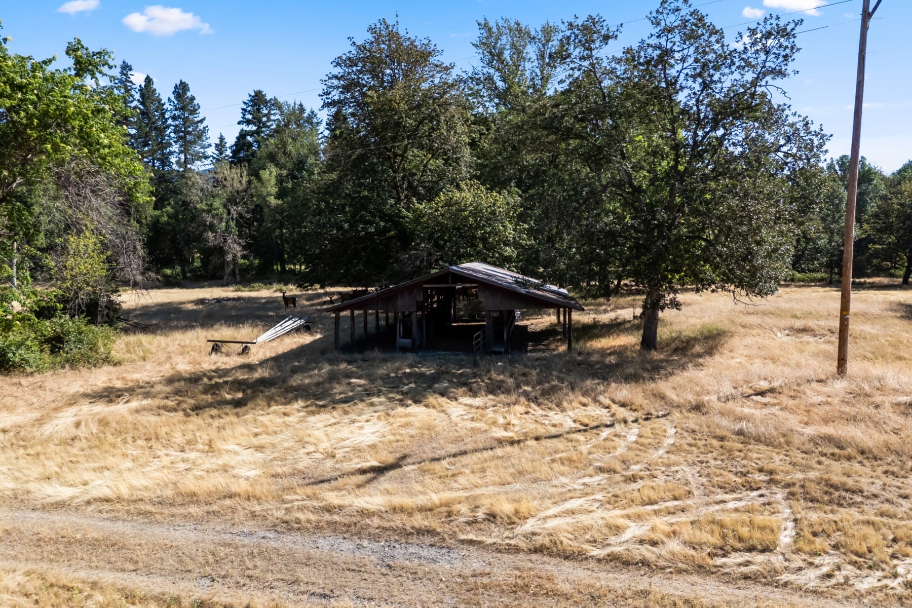  706 Creek Road Azalea, OR 97410 - 物件實景