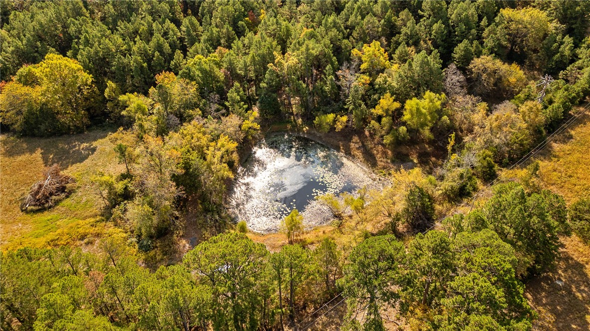 Harrison, Arkansas, 72601, United States, ,Land,For Sale,1903460