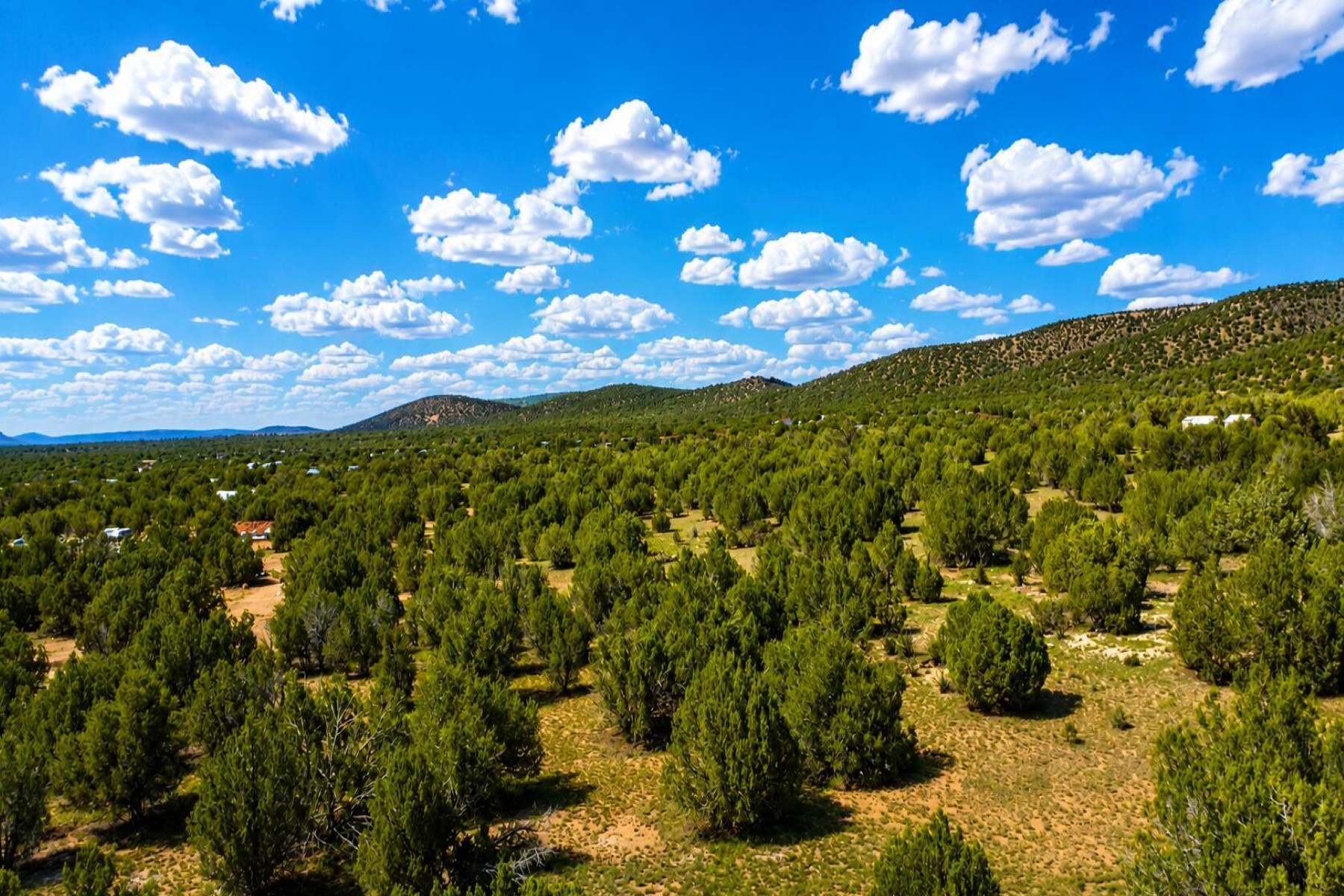  101 W Highland Street¦Williams, AZ - 物件實景