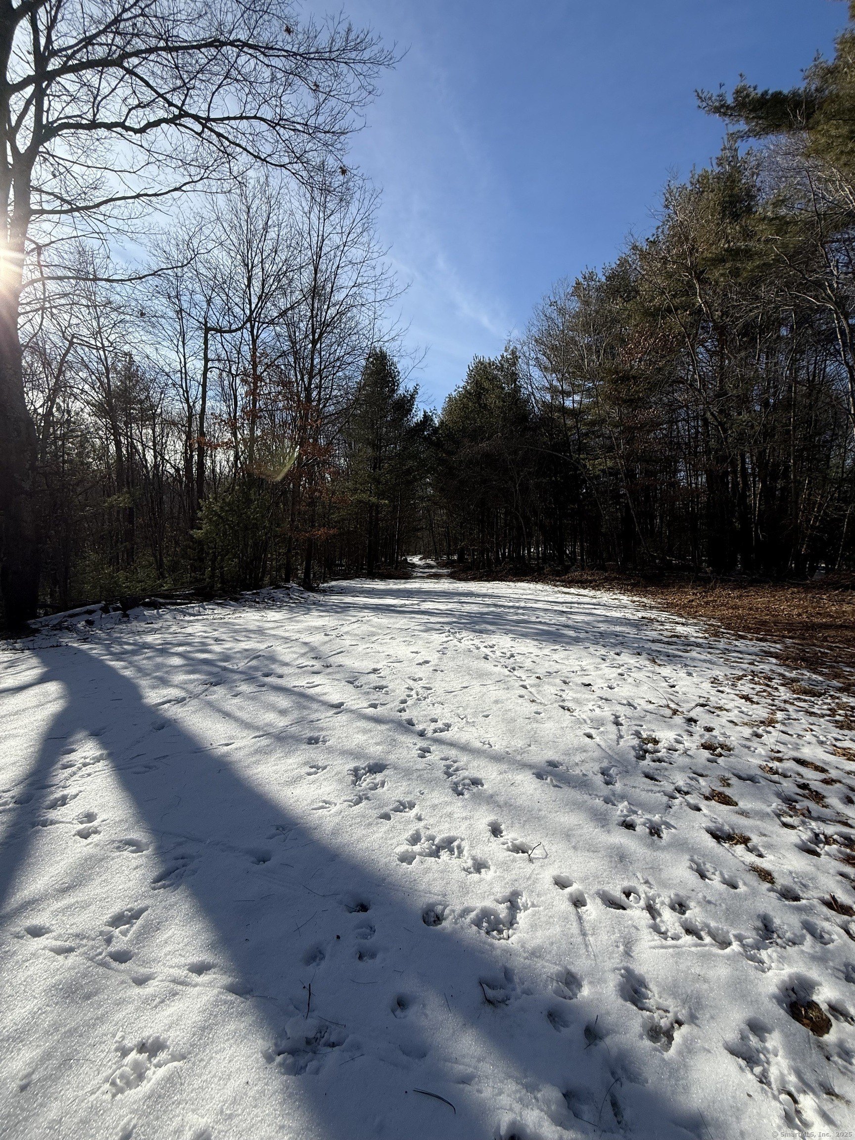 Burlington, Connecticut, 06013, United States, ,Land,For Sale,1982726