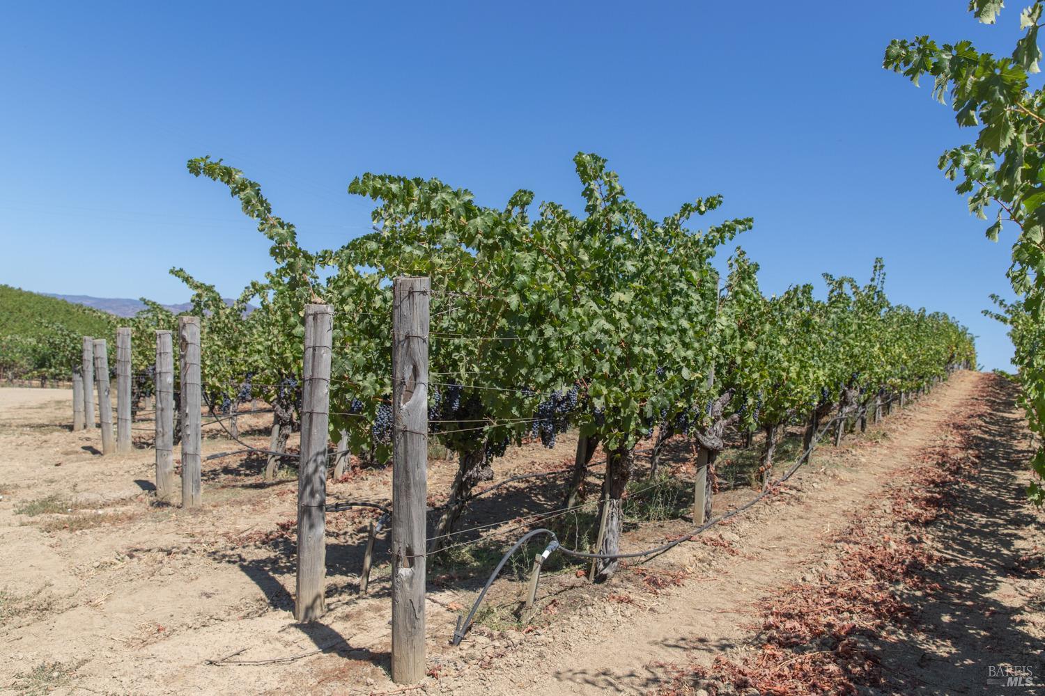 Napa, California, 94558, United States, ,Residential,For Sale,1786065