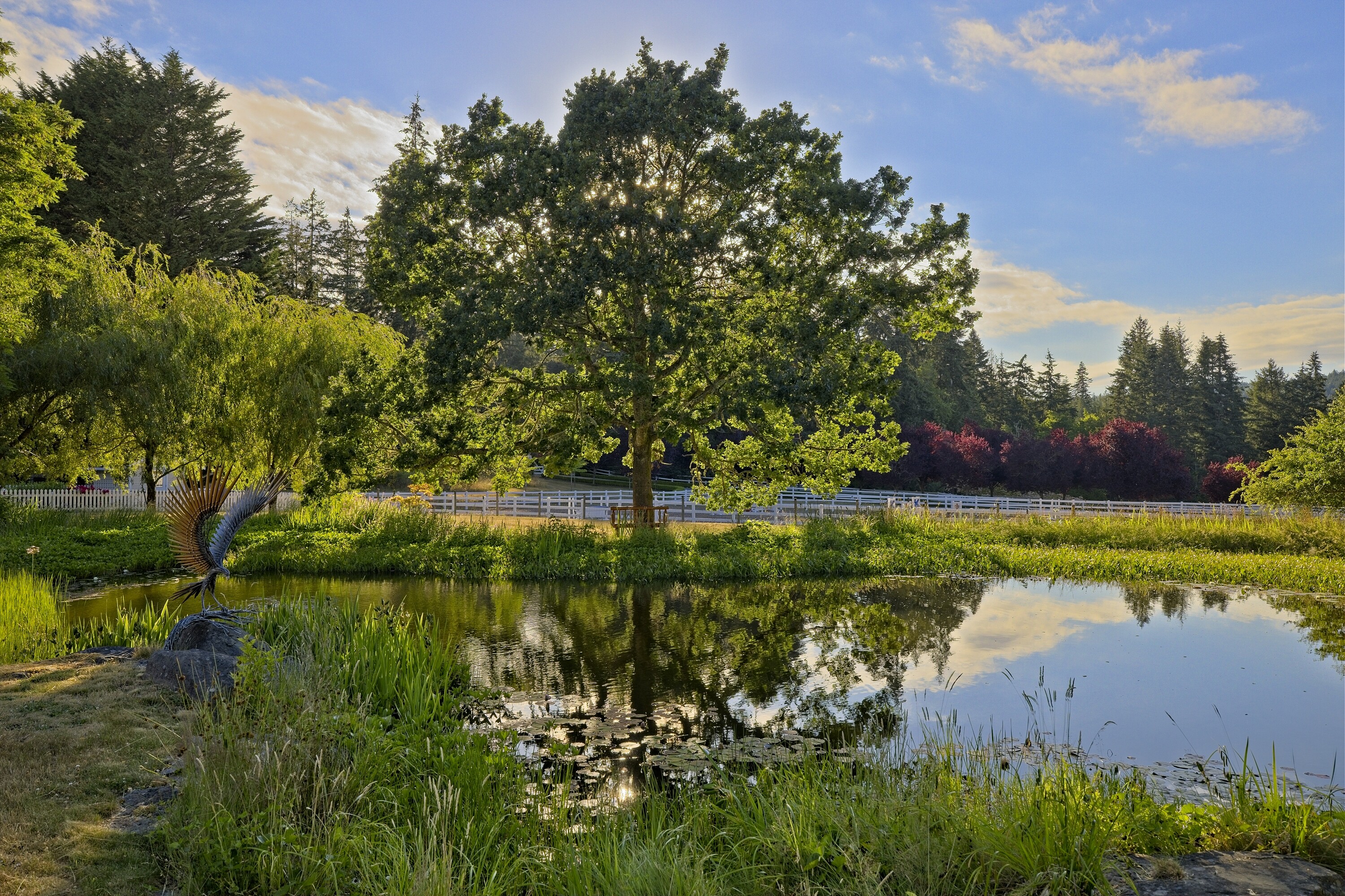  The Meadows - 物件實景