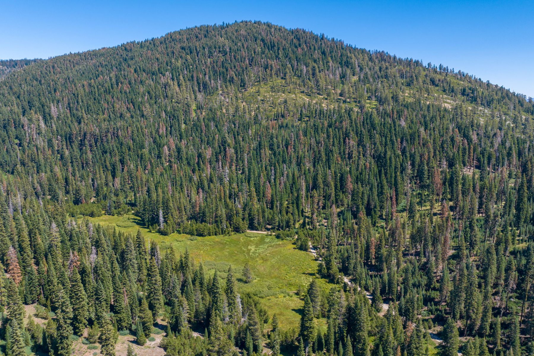  80 Acres of Pristine Land in the Middle of Plumas Eureka State Park - 物件實景