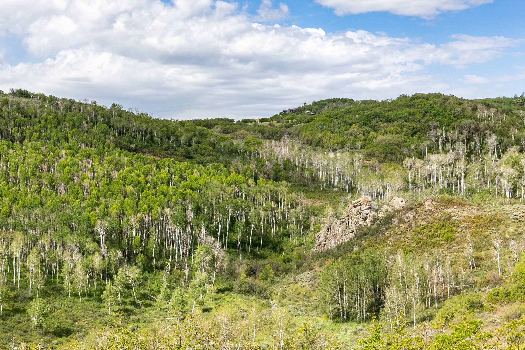  Rocky Point Preserve - 260+ Acre Preserve Just 20 Minutes to Park City - 物件實景