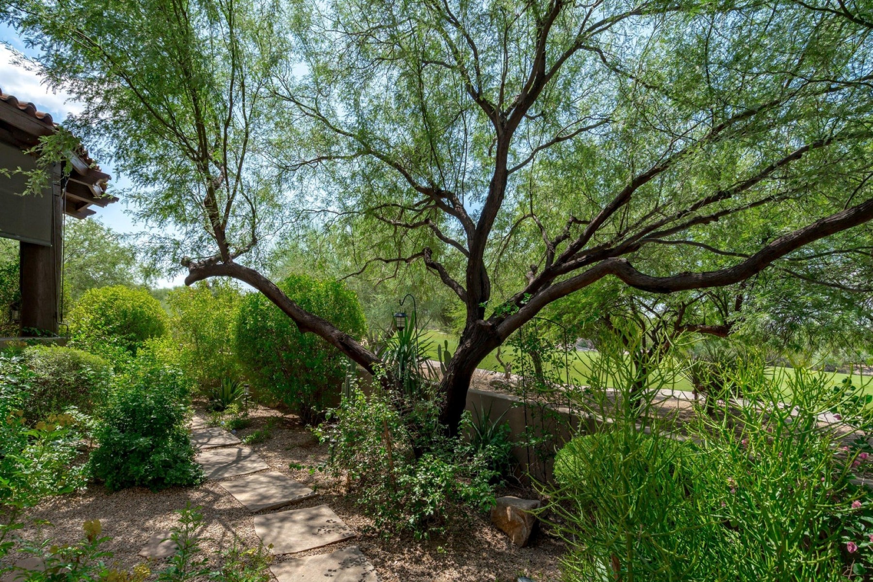  7373 E Clubhouse Drive¦Scottsdale, AZ - 物件實景