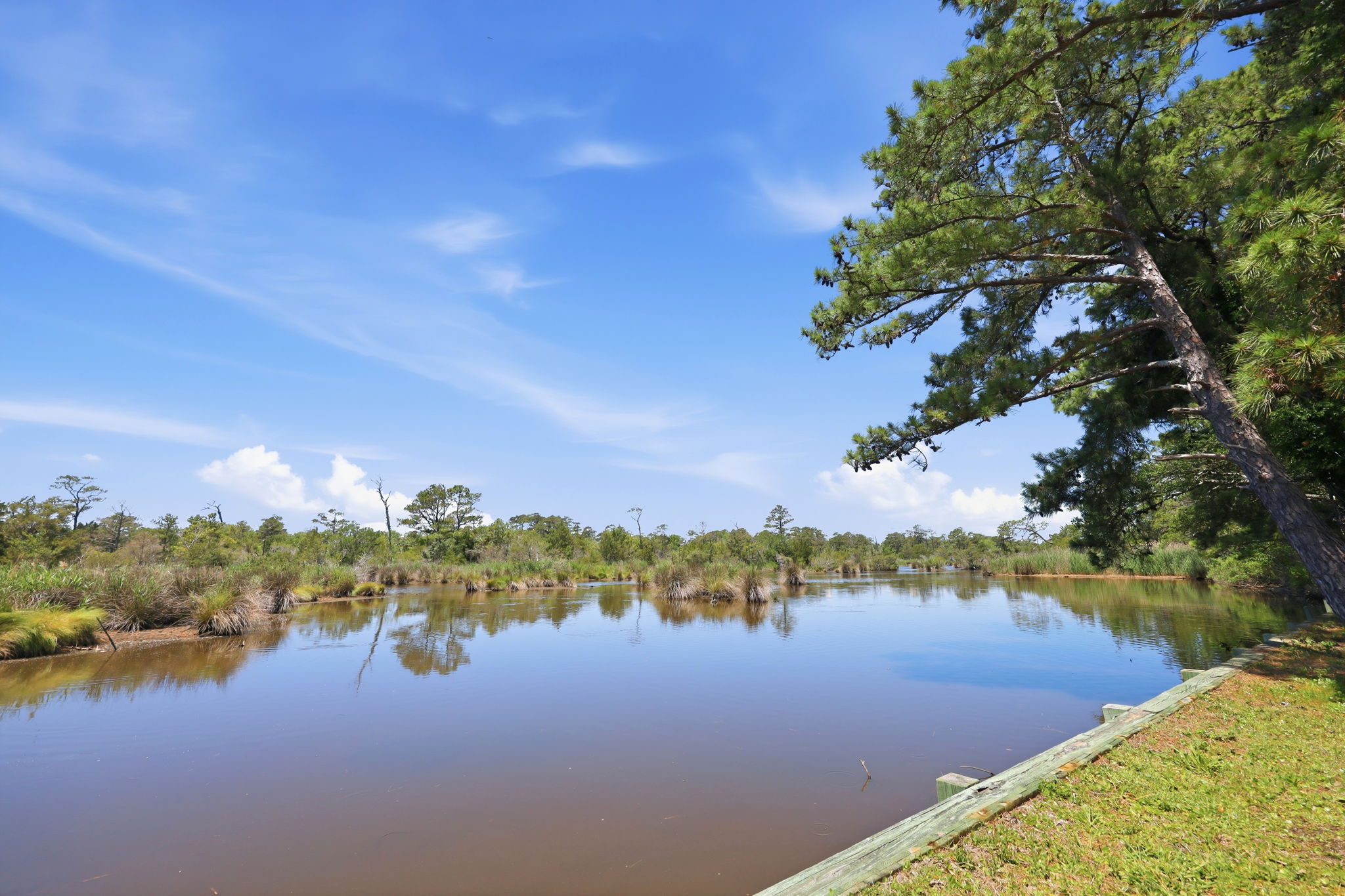  889 Emeline Lane, Kitty Hawk, NC 27949 - 物件實景