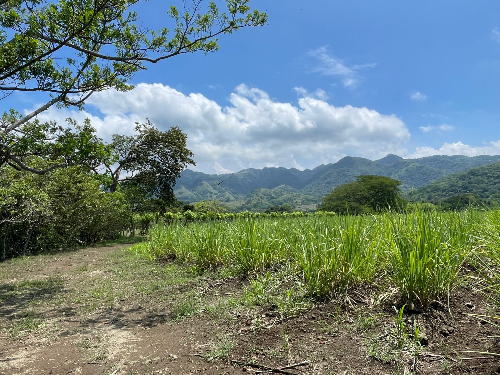 Escobal, Atenas, Atenas, Alajuela, CR, ,Land,For Sale,Escobal, Atenas,1627461