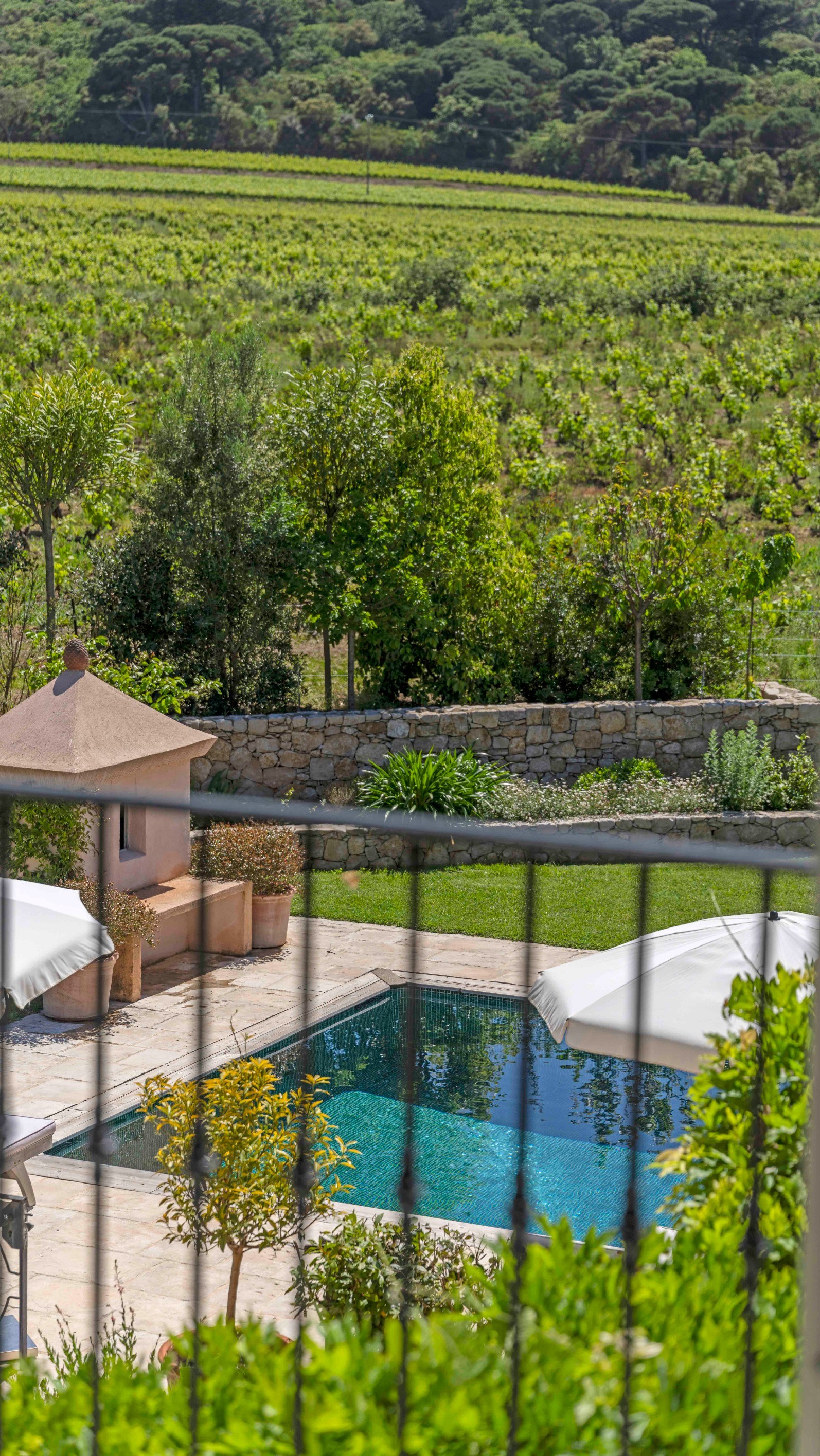  Provençal villa of 210 m² with swimming pool and landscaped garden near Pampelo… - 物件實景
