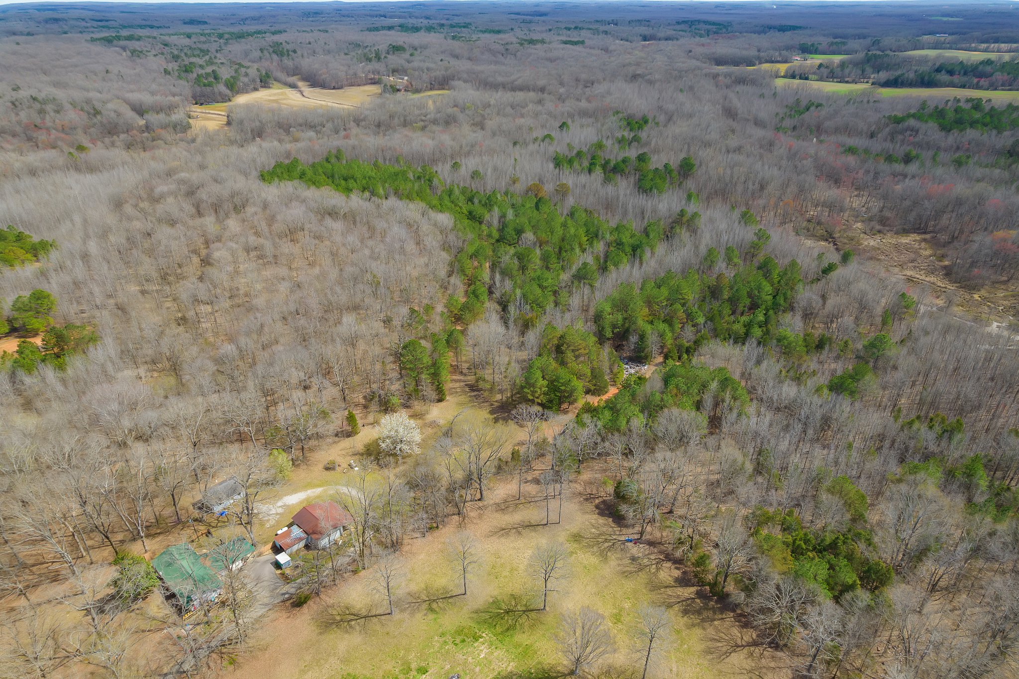 Beech Bluff, Tennessee, 38313, United States, 5 Bedrooms Bedrooms, ,3 BathroomsBathrooms,Residential,For Sale,1743753