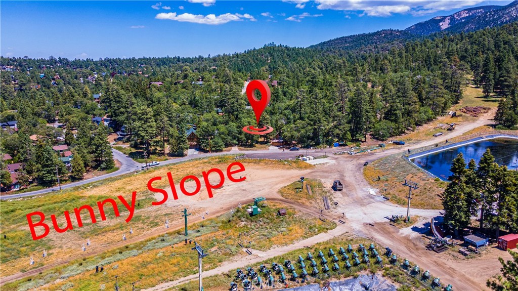 BIG BEAR CITY, California, 92315, United States, ,Land,For Sale,1754102