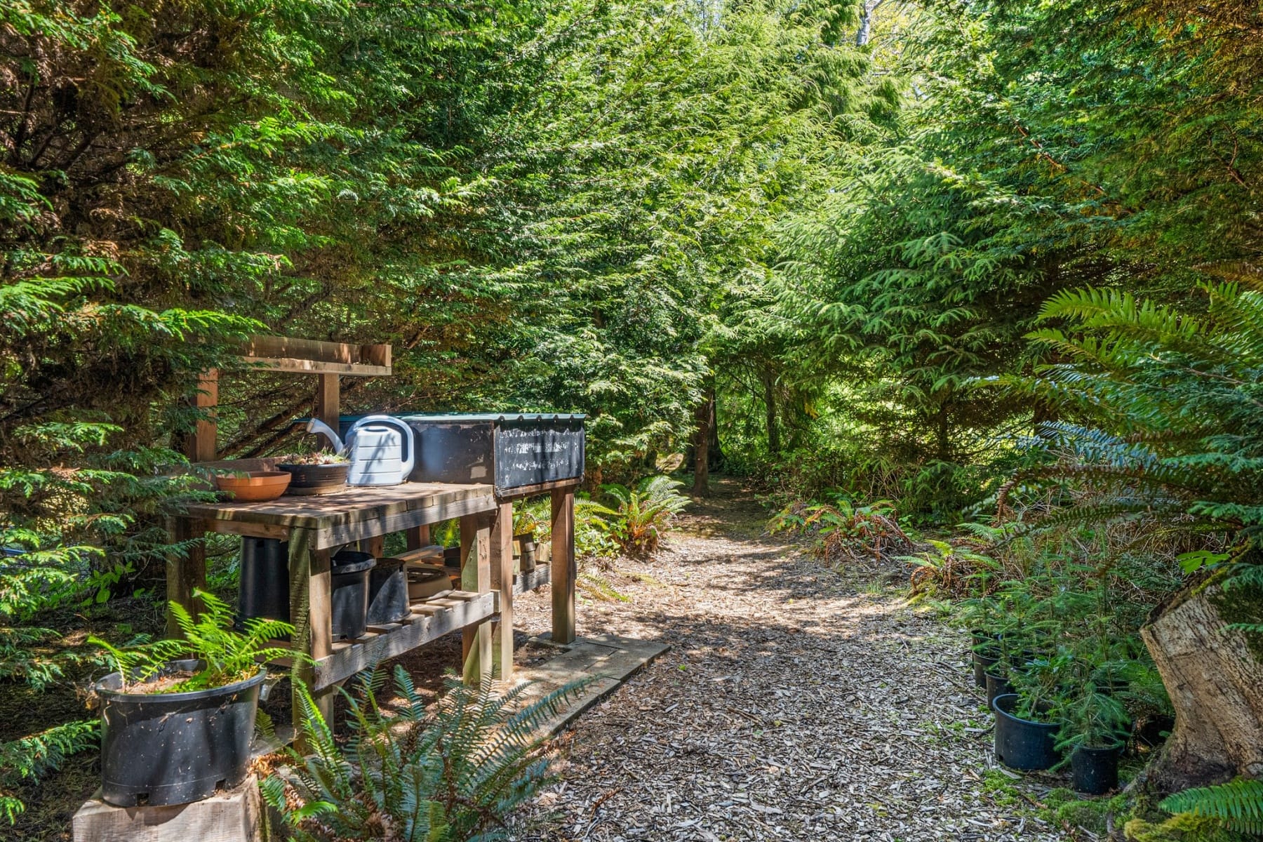  441 Bay Center Rd RD Bay Center, WA 98527 - 物件實景