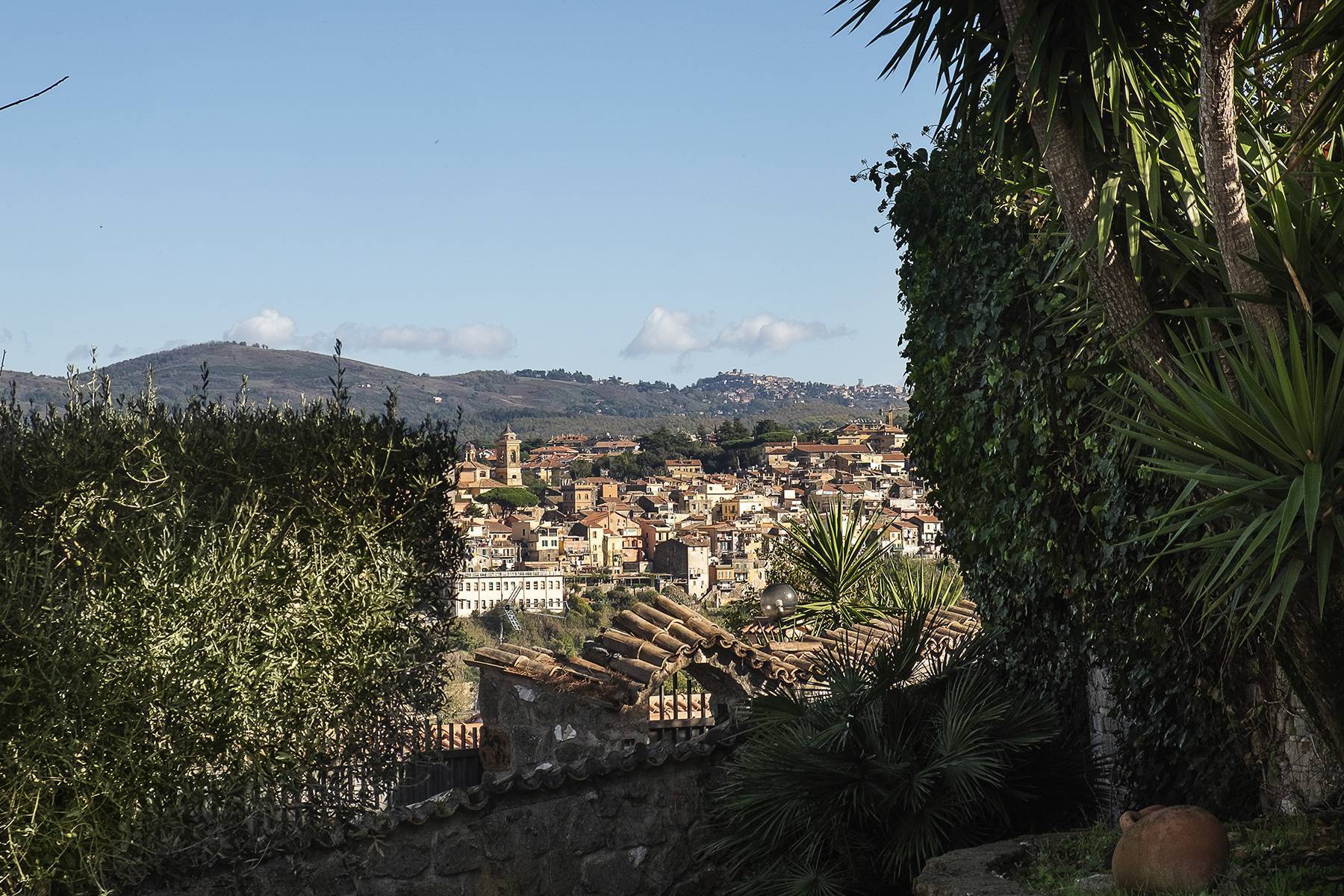  Charming villa near Castel Gandolfo - 物件實景