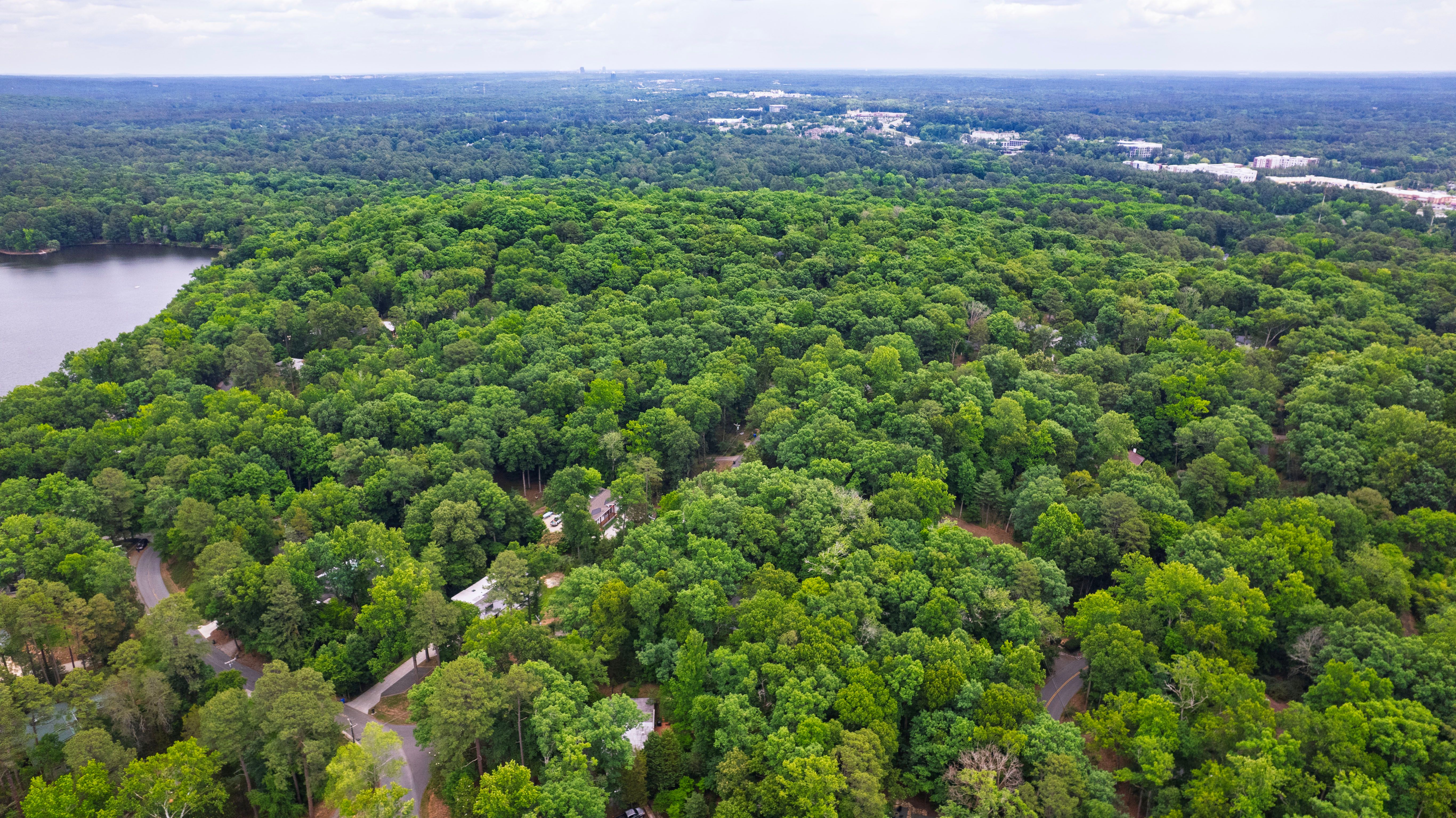  321 Woodhaven Road, Chapel Hill, NC 27514 - 物件實景