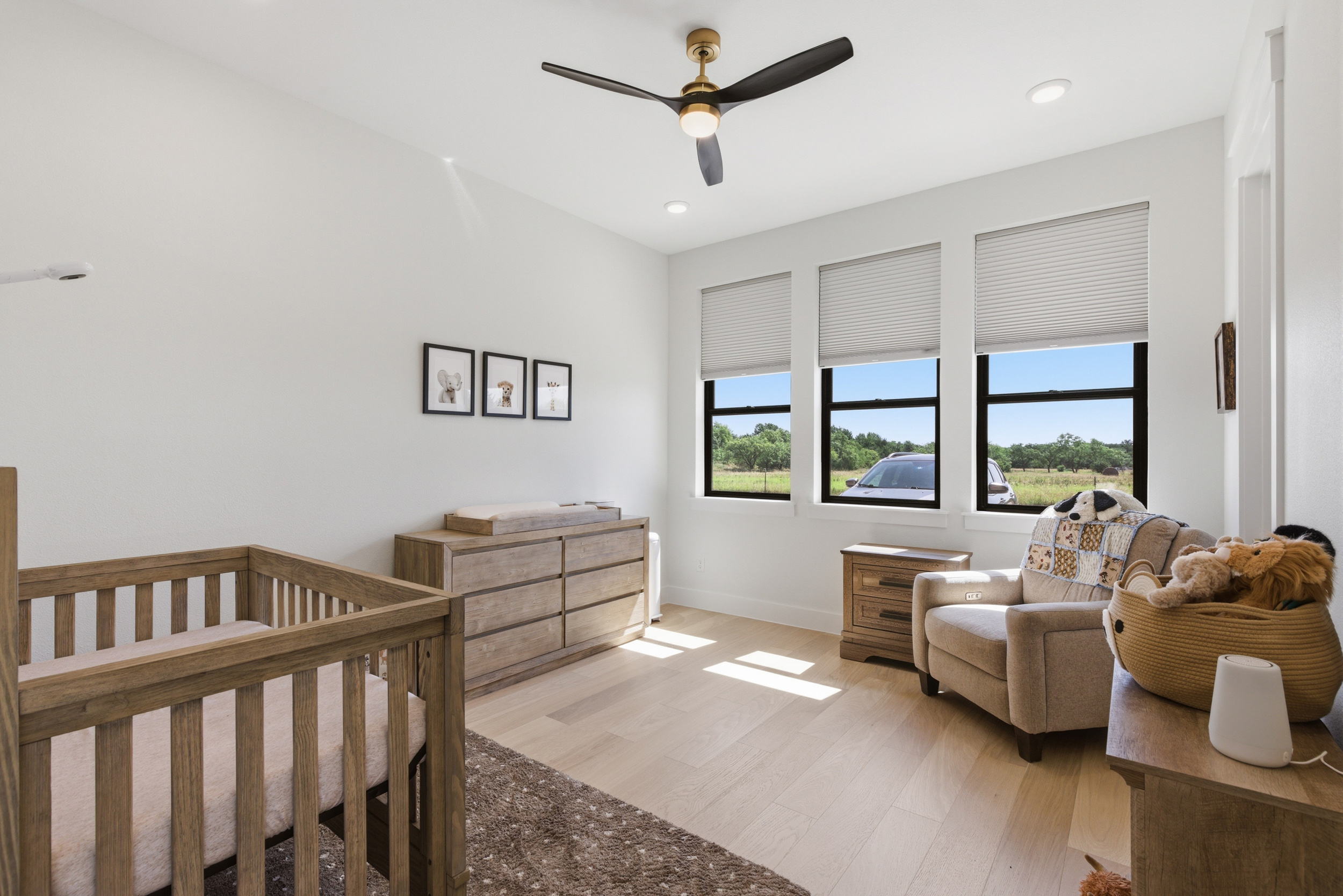  519 Reason Jones Road, Valley View, TX, 76272 - 物件實景