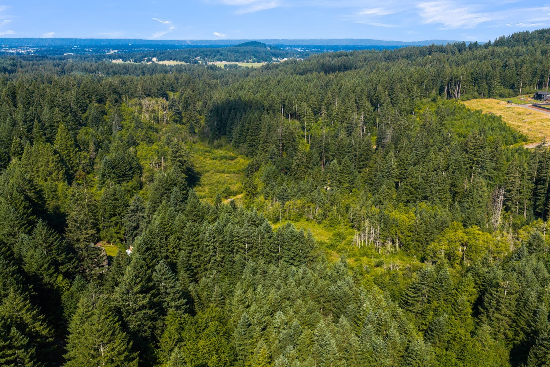  3832 NE CAVITT RD Camas, WA 98607 - 物件實景