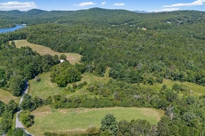 Blairsville, Georgia, 30512, United States, ,Land,For Sale,1933654