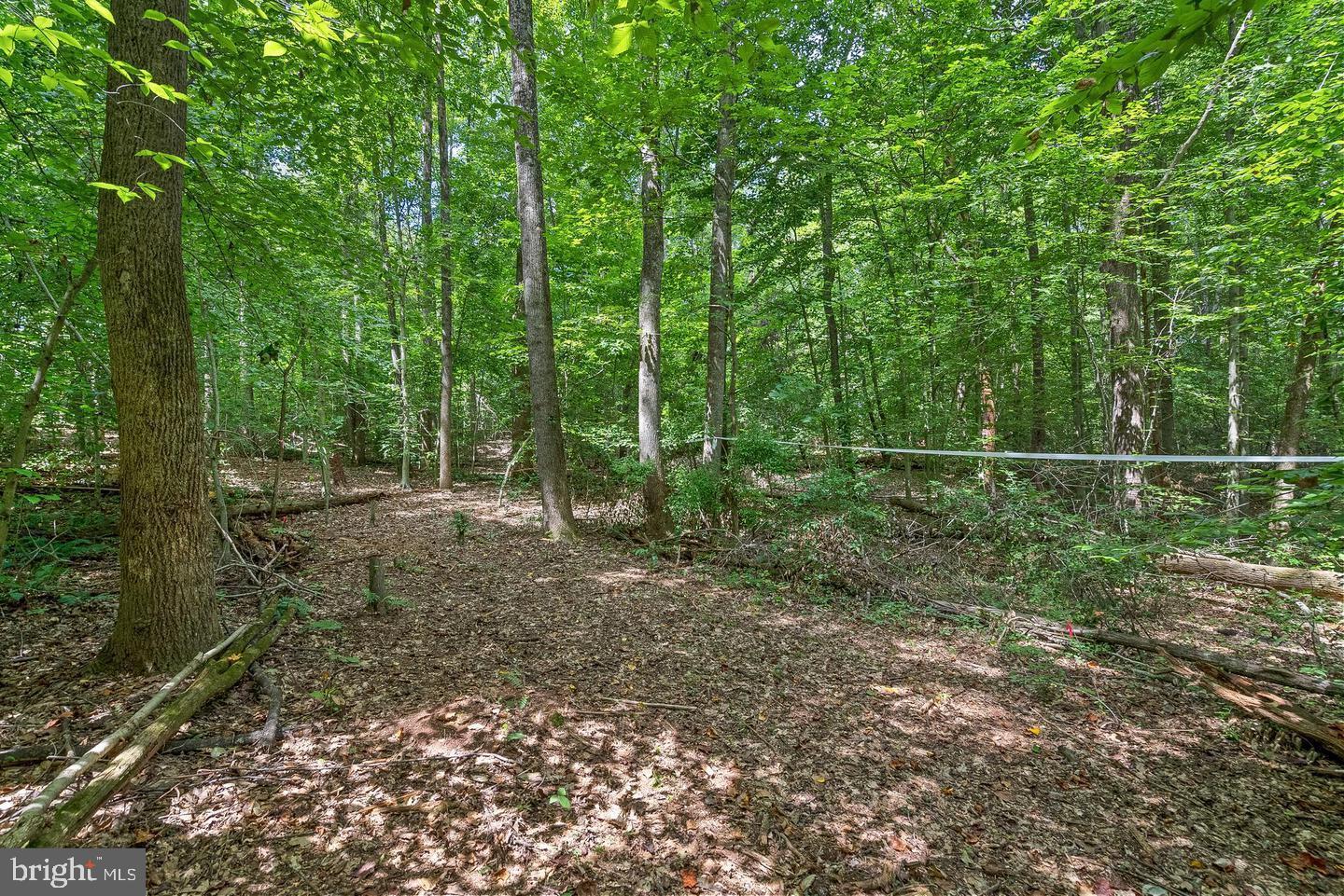 Nokesville, Virginia, 20181, United States, ,Residential,For Sale,1983761