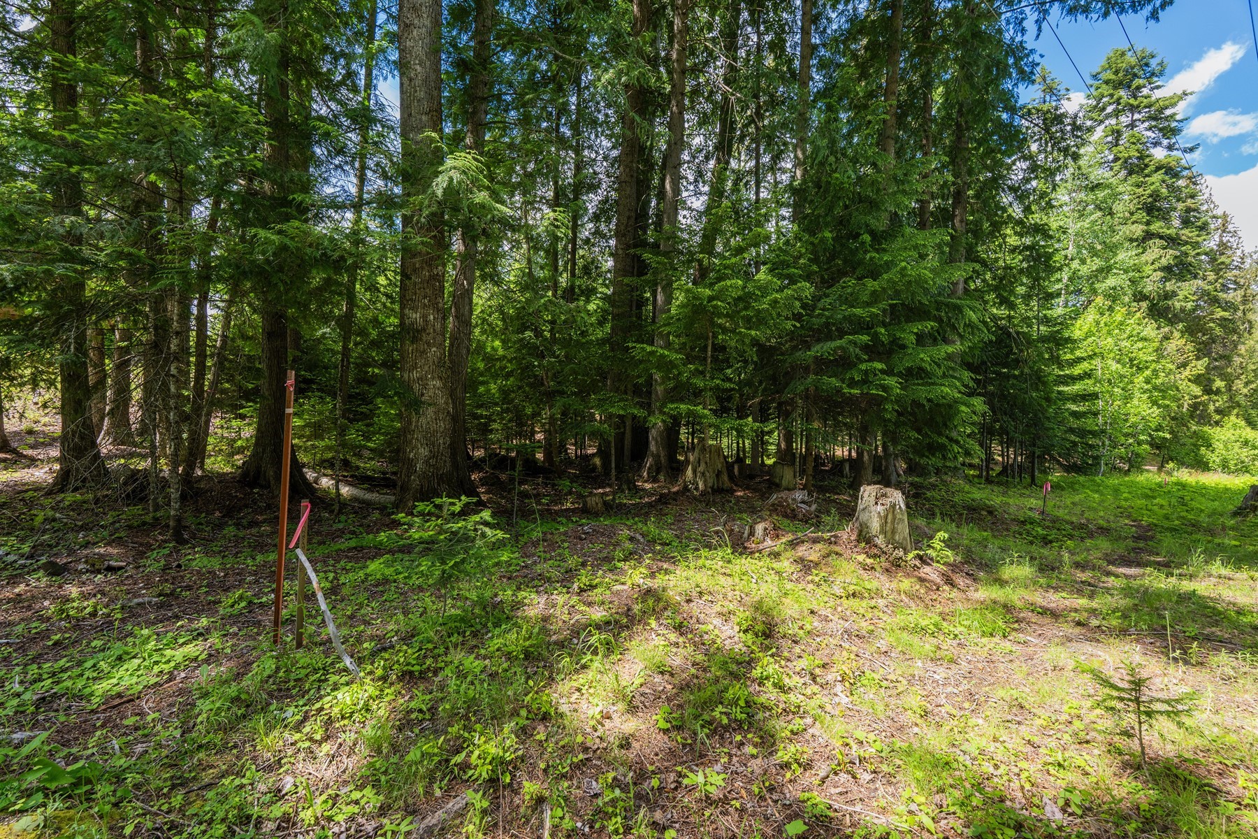  Priest Lake Building Lots - 物件實景