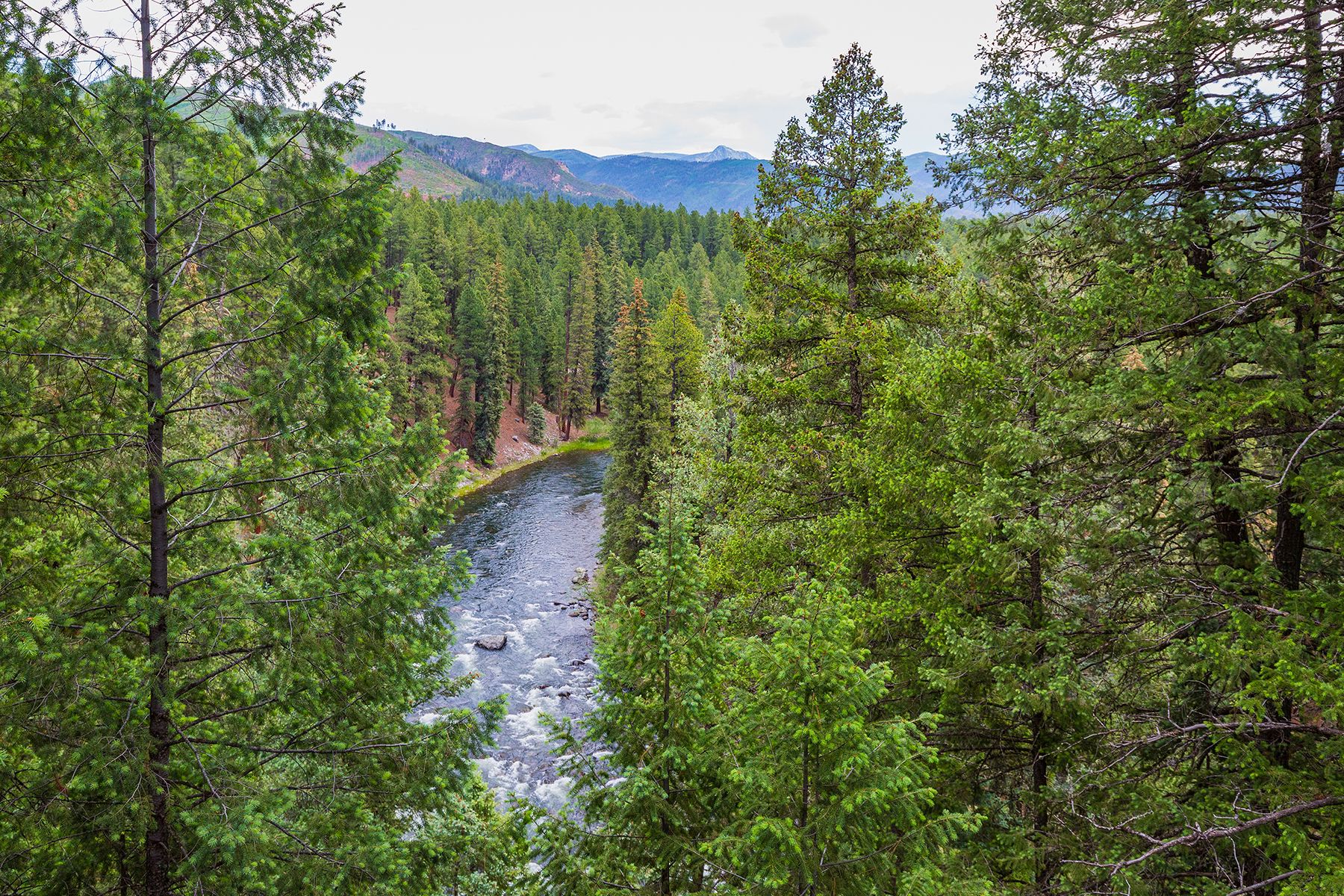  234 Wapiti Drive, Bayfield, CO 81122 - 物件實景