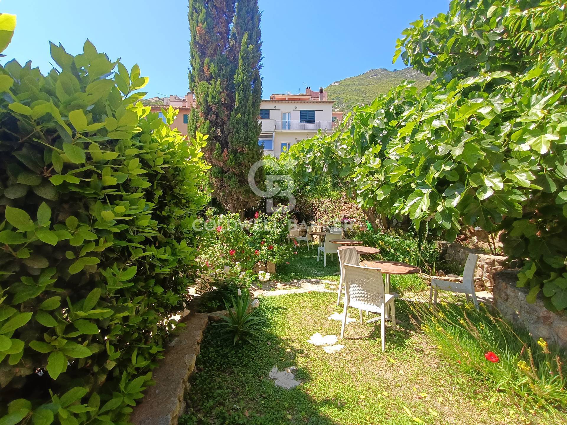 Via Thaon de Revel, Isola del Giglio, Grosseto, 58012, IT, 2 Bedrooms Bedrooms, ,2 BathroomsBathrooms,Residential,For Sale,Via Thaon de Revel,1673234
